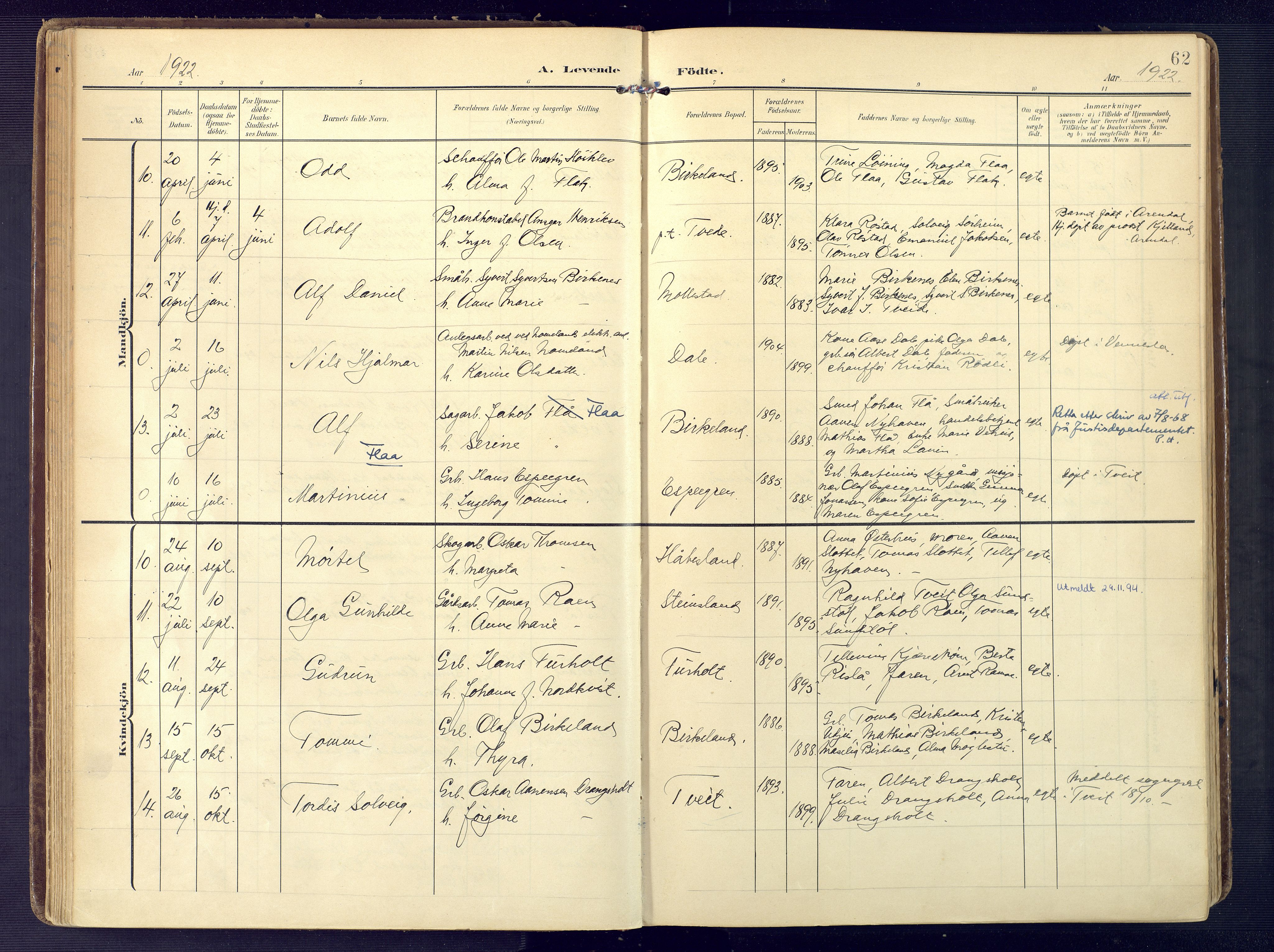 Birkenes sokneprestkontor, AV/SAK-1111-0004/F/Fa/L0006: Parish register (official) no. A 6, 1908-1932, p. 62