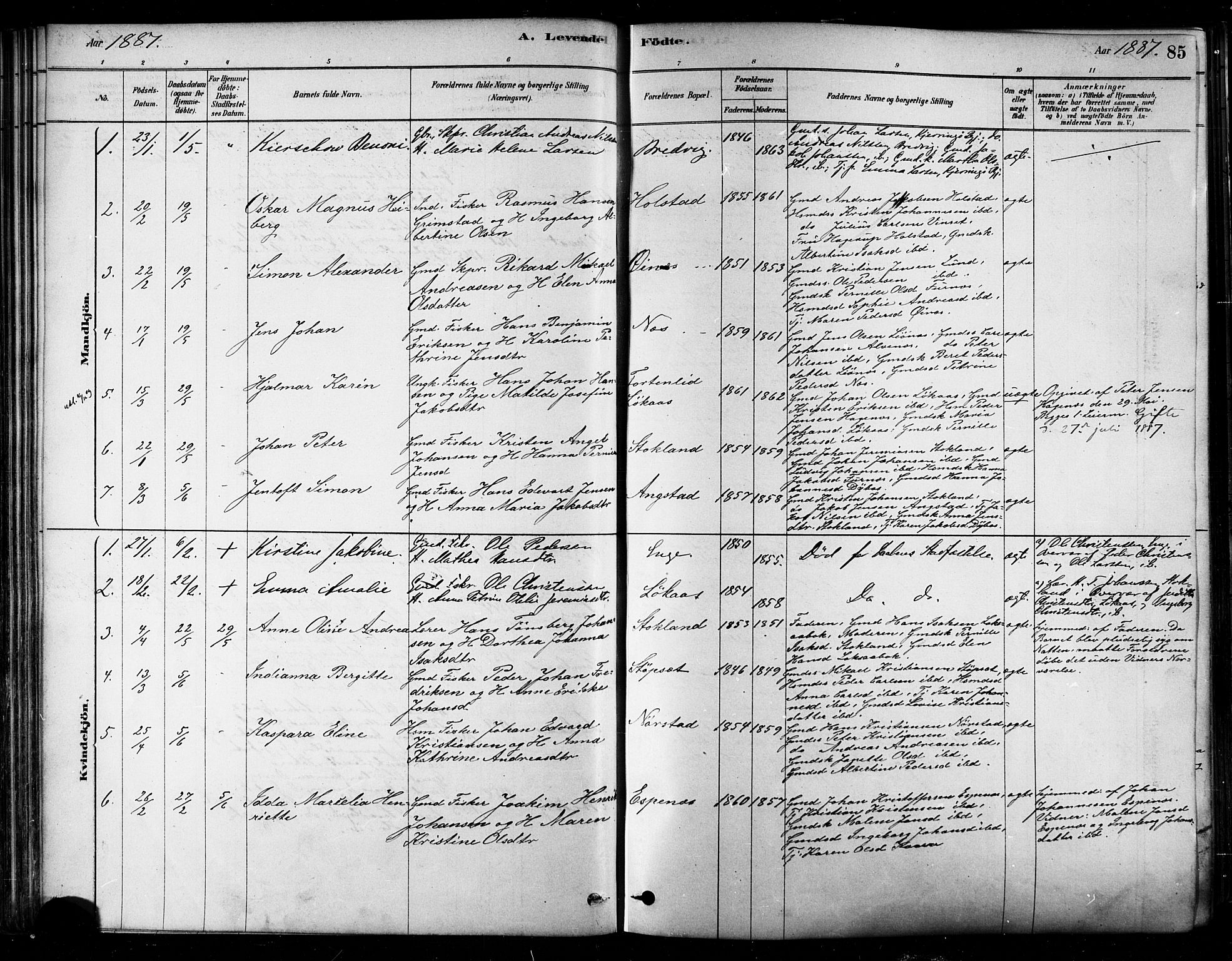 Ministerialprotokoller, klokkerbøker og fødselsregistre - Nordland, SAT/A-1459/852/L0740: Parish register (official) no. 852A10, 1878-1894, p. 85