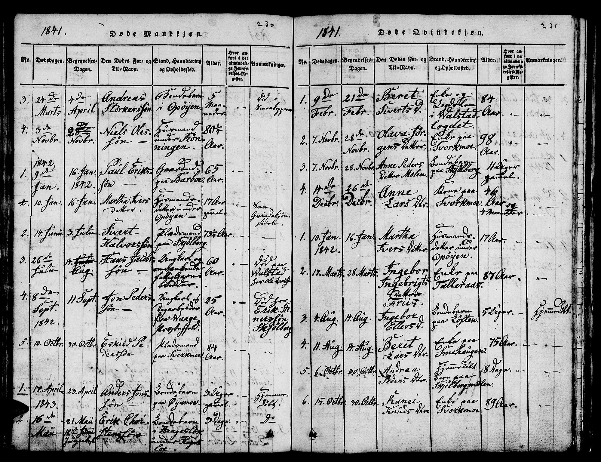 Ministerialprotokoller, klokkerbøker og fødselsregistre - Sør-Trøndelag, AV/SAT-A-1456/671/L0842: Parish register (copy) no. 671C01, 1816-1867, p. 230-231