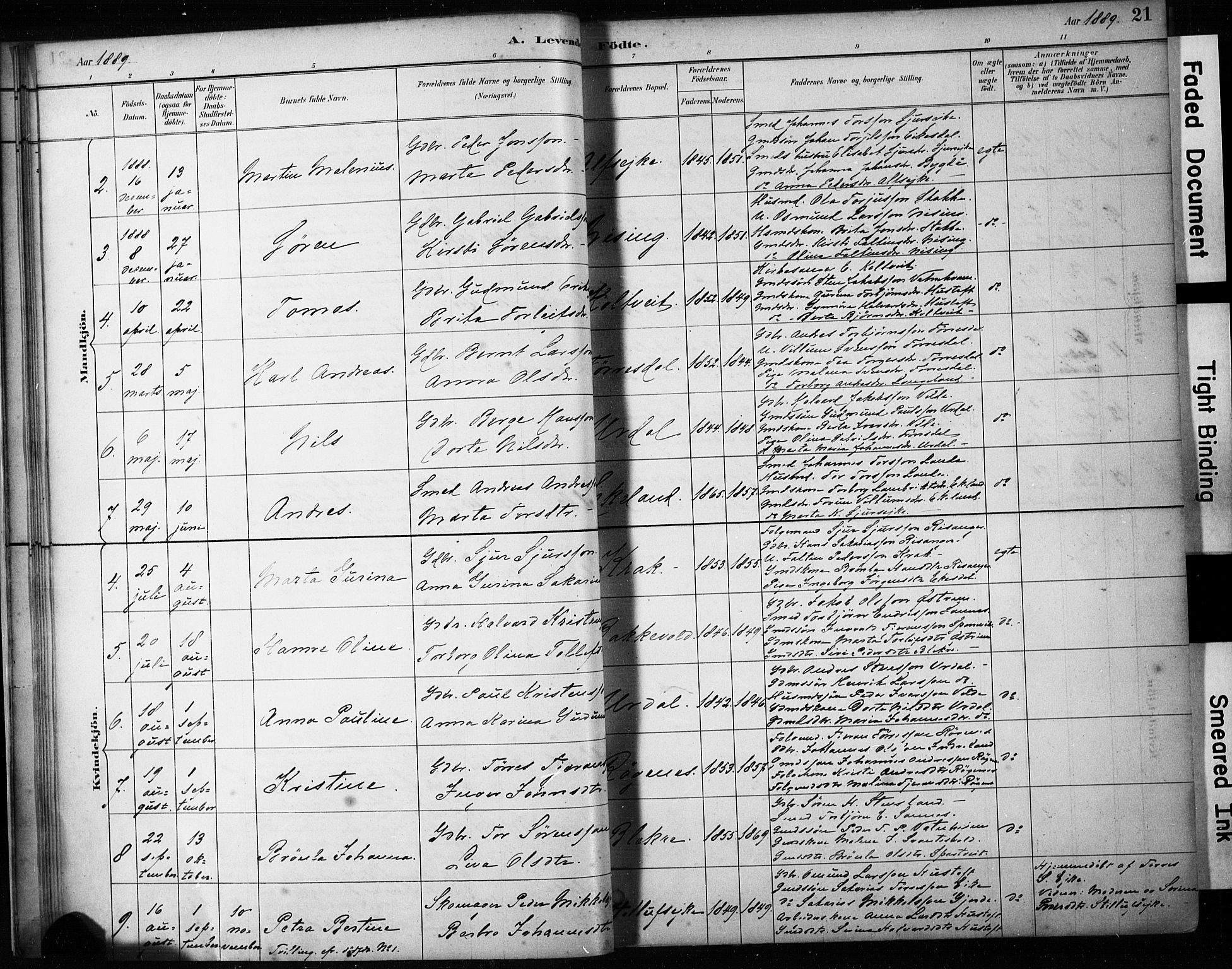 Skjold sokneprestkontor, AV/SAST-A-101847/H/Ha/Haa/L0009: Parish register (official) no. A 9, 1882-1898, p. 21