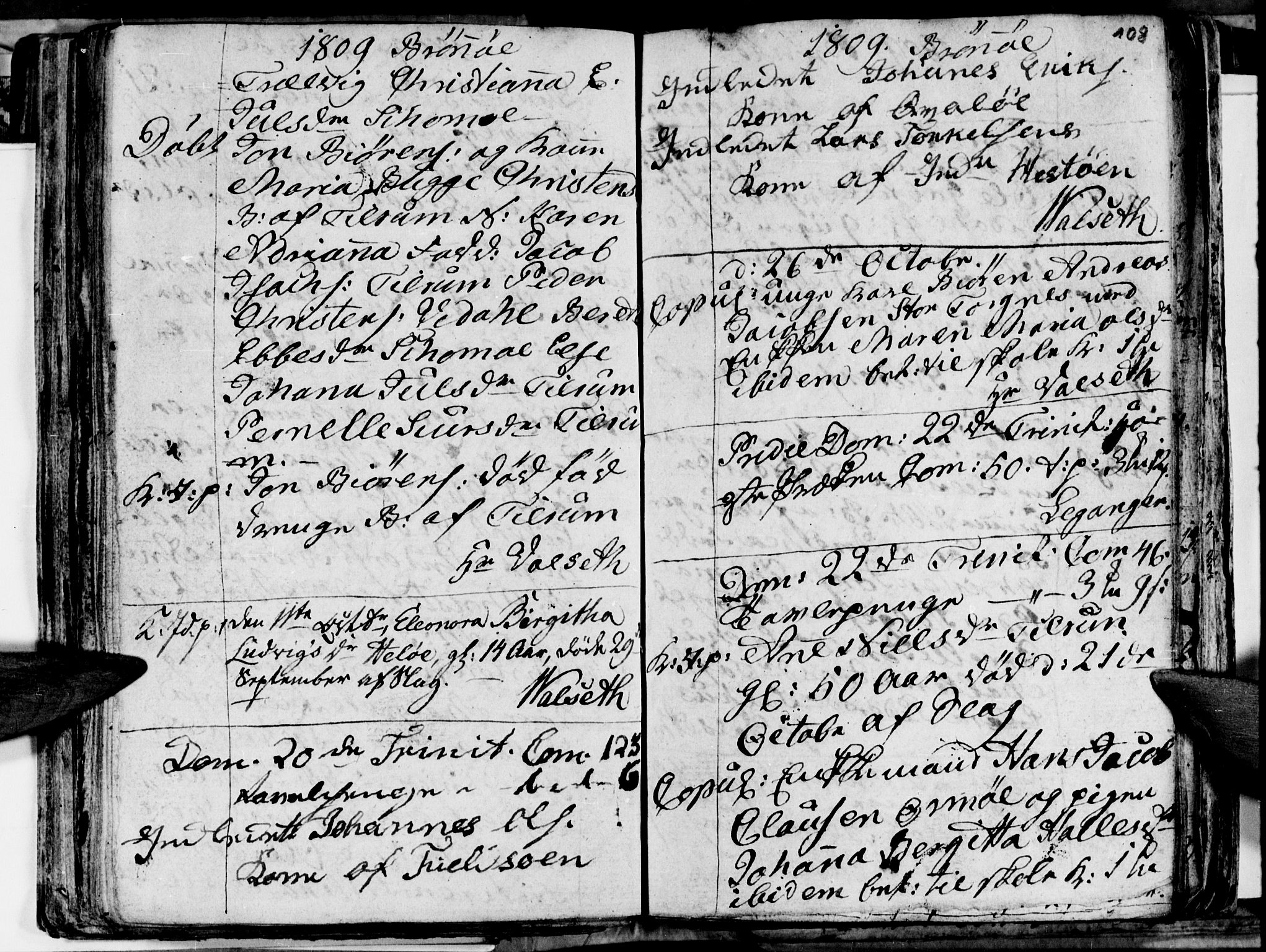 Ministerialprotokoller, klokkerbøker og fødselsregistre - Nordland, AV/SAT-A-1459/813/L0209: Parish register (copy) no. 813C01, 1803-1821, p. 108