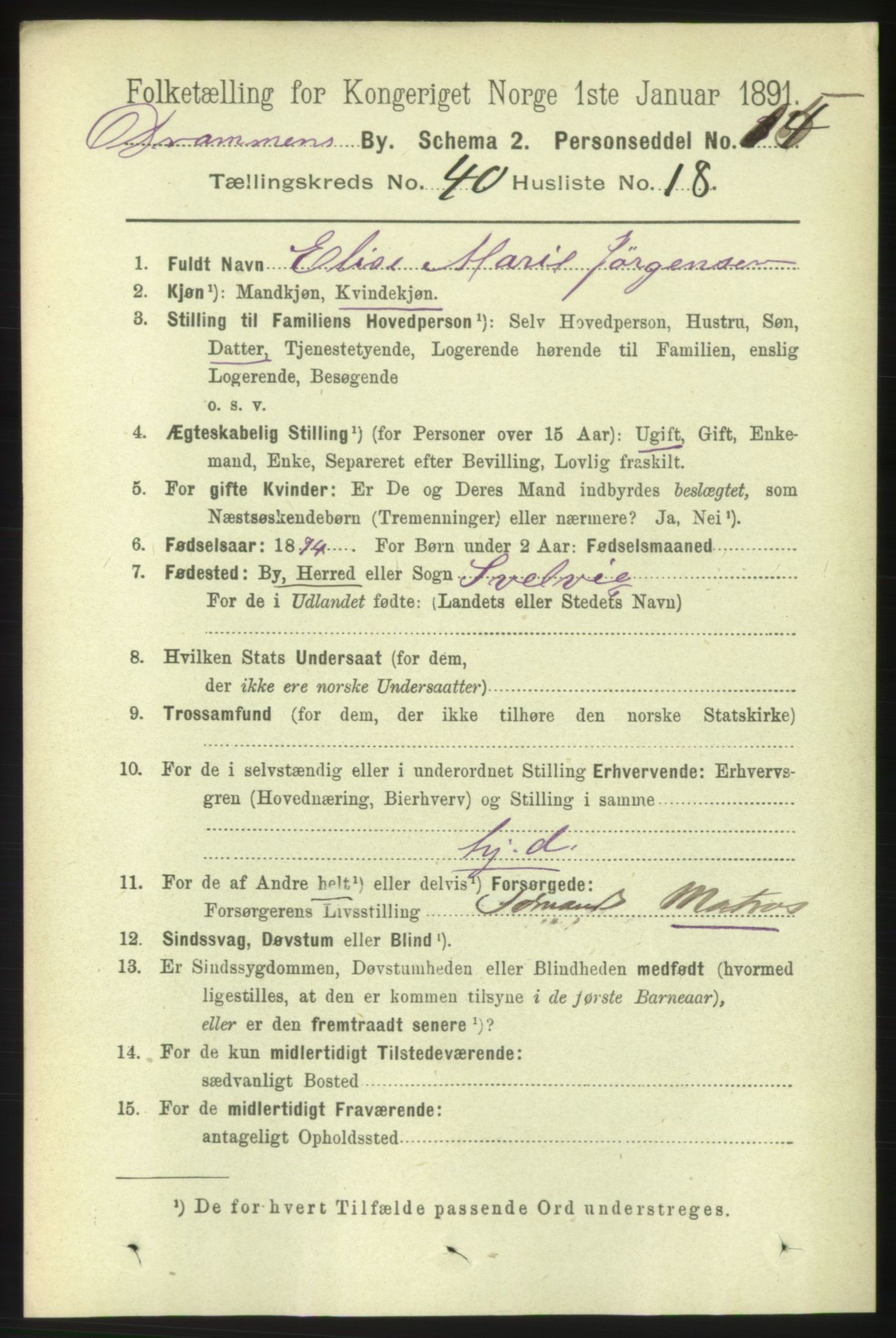 RA, 1891 census for 0602 Drammen, 1891, p. 23913