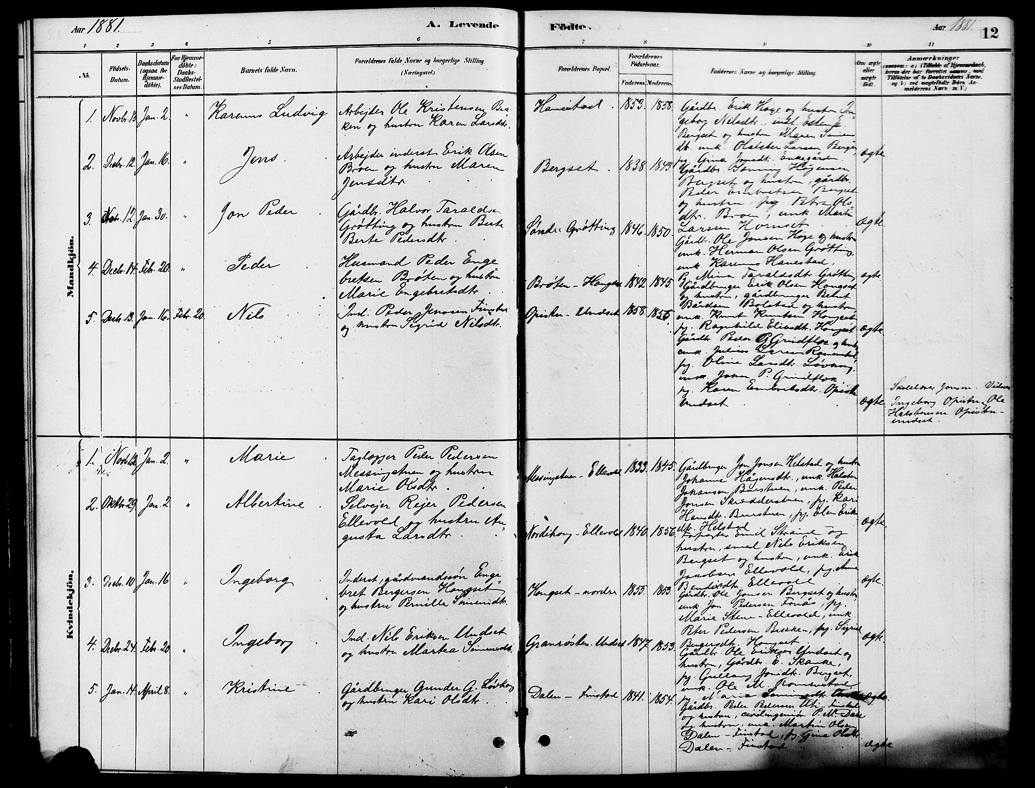 Rendalen prestekontor, SAH/PREST-054/H/Ha/Hab/L0003: Parish register (copy) no. 3, 1879-1904, p. 12