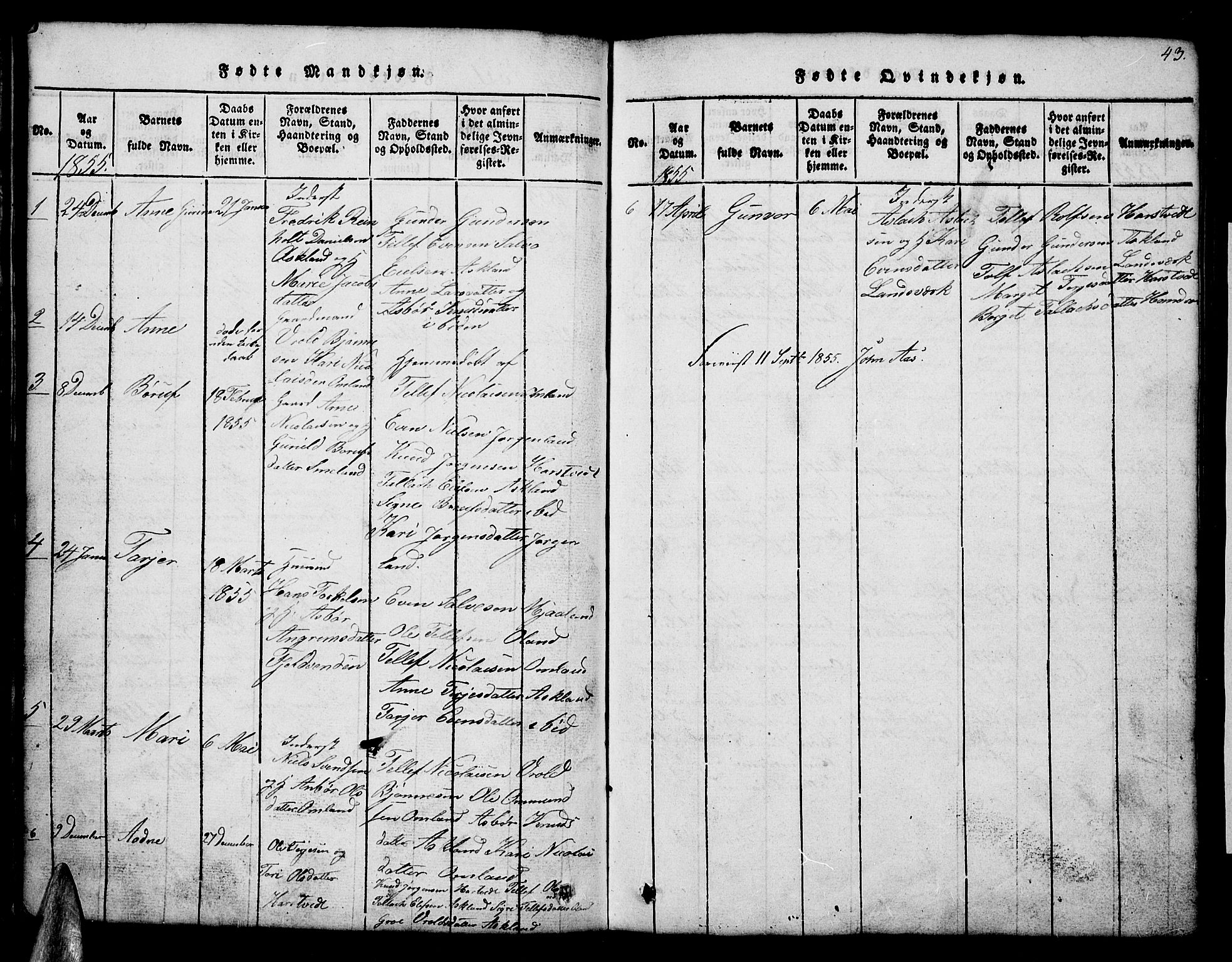 Åmli sokneprestkontor, AV/SAK-1111-0050/F/Fb/Fba/L0001: Parish register (copy) no. B 1, 1816-1890, p. 43