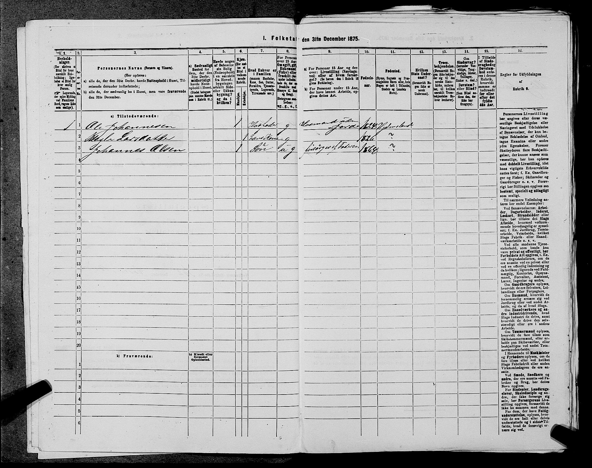 SAST, 1875 census for 1138P Jelsa, 1875, p. 416