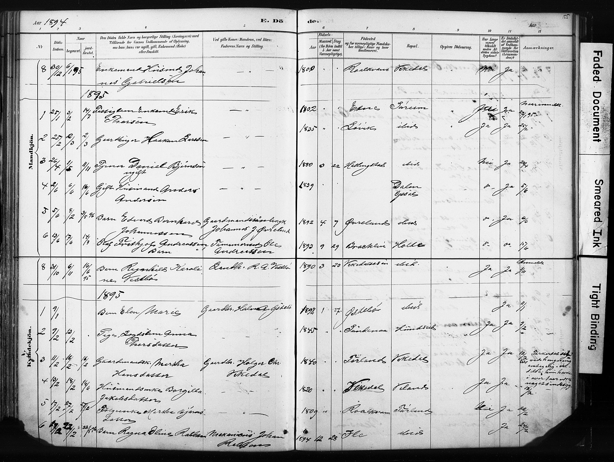 Vikedal sokneprestkontor, AV/SAST-A-101840/01/IV: Parish register (official) no. A 10, 1884-1907, p. 155