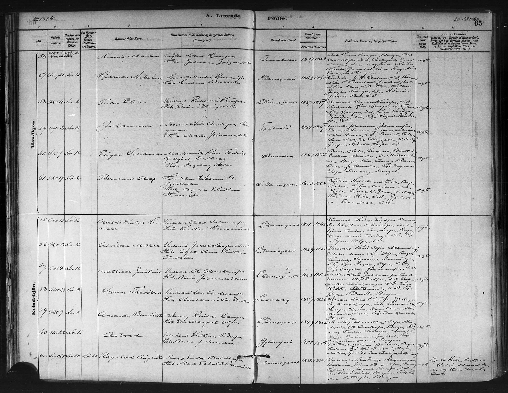 Askøy Sokneprestembete, AV/SAB-A-74101/H/Ha/Haa/Haae/L0002: Parish register (official) no. E 2, 1878-1891, p. 65