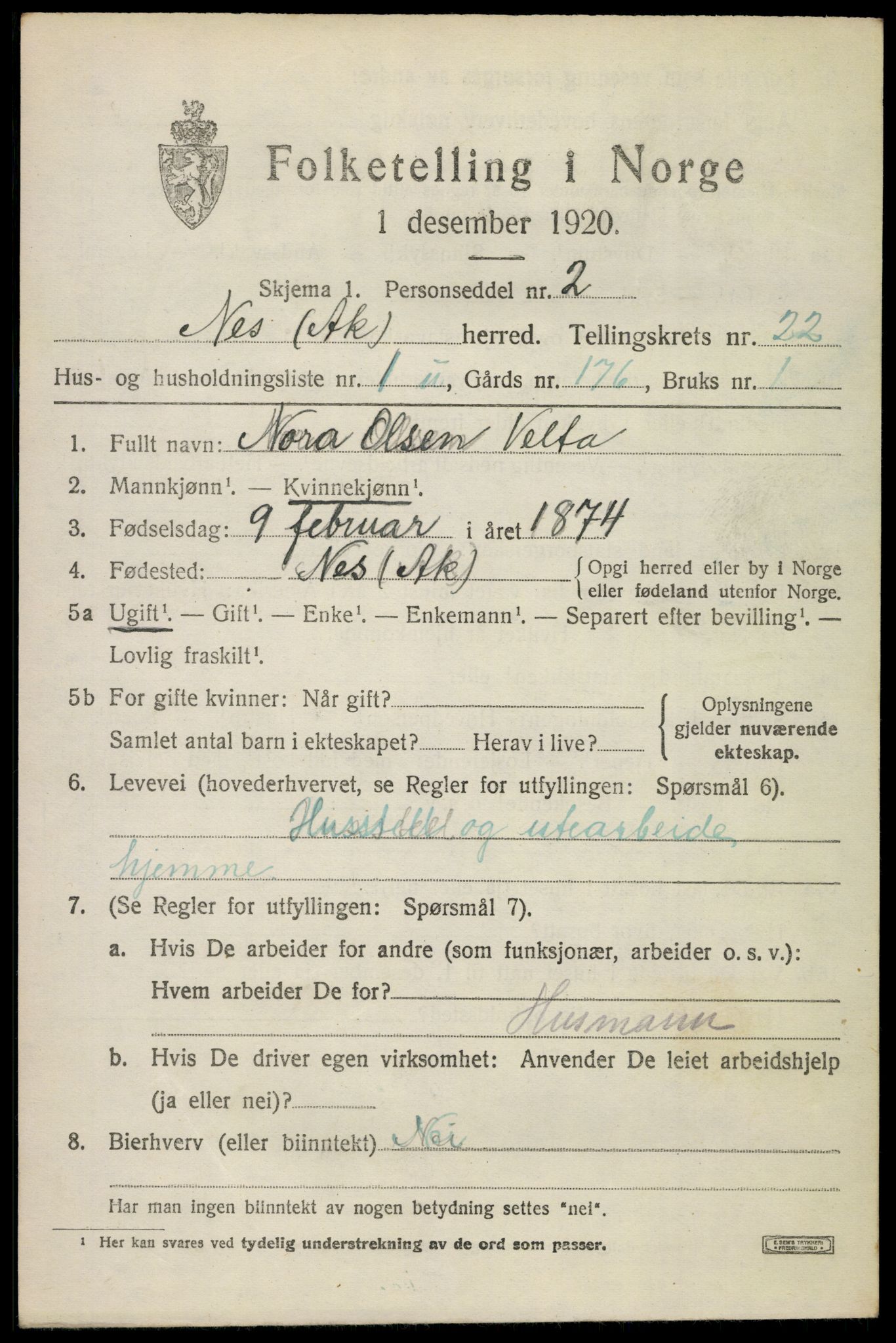 SAO, 1920 census for Nes, 1920, p. 22654