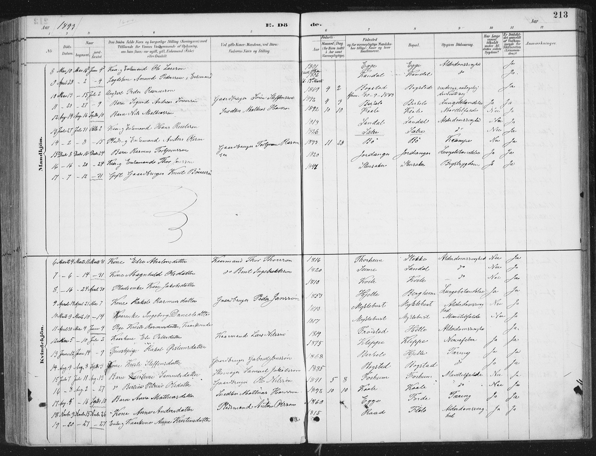 Gloppen sokneprestembete, AV/SAB-A-80101/H/Haa/Haac/L0002: Parish register (official) no. C  2, 1887-1904, p. 213