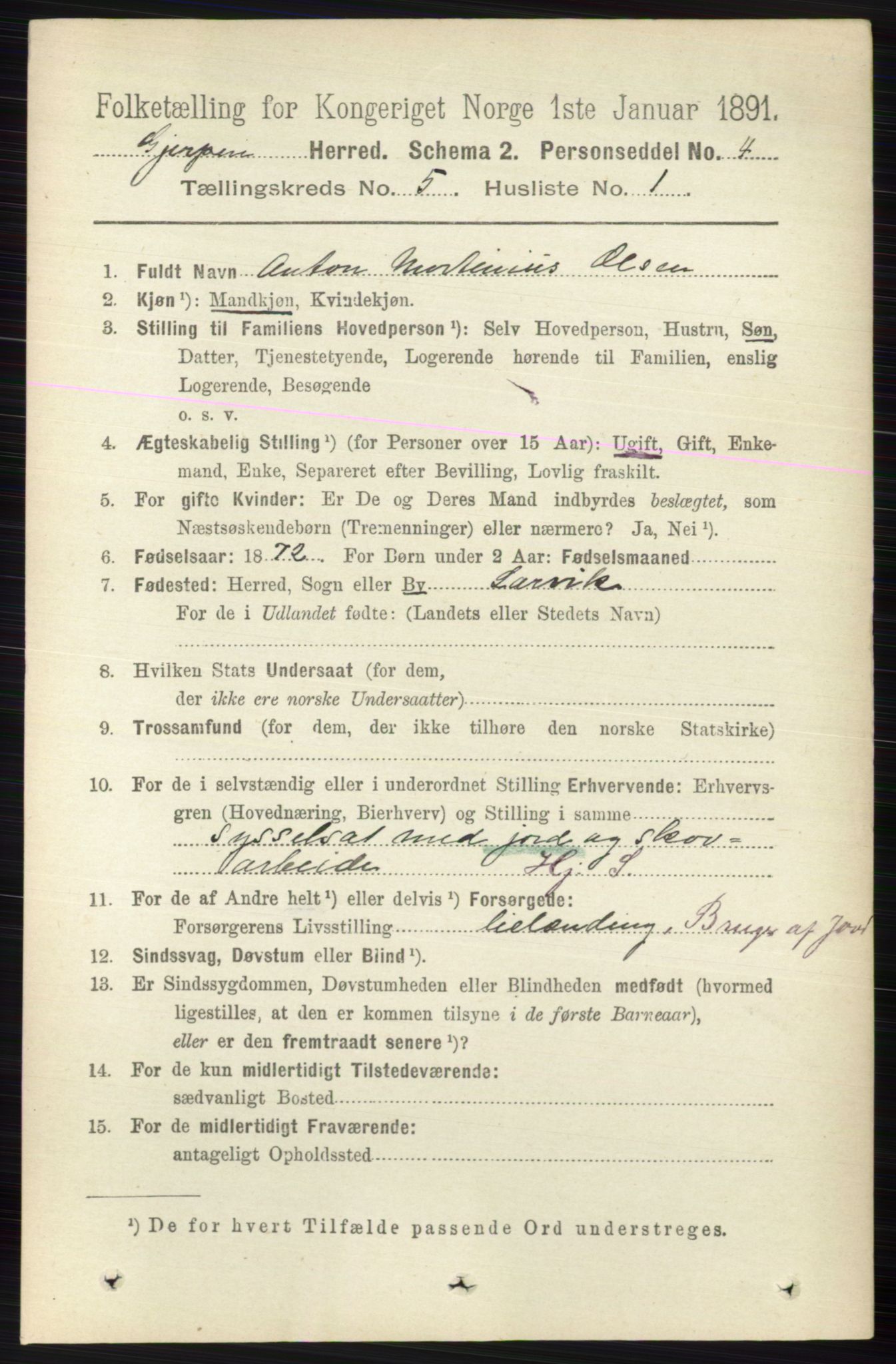 RA, 1891 census for 0812 Gjerpen, 1891, p. 2496