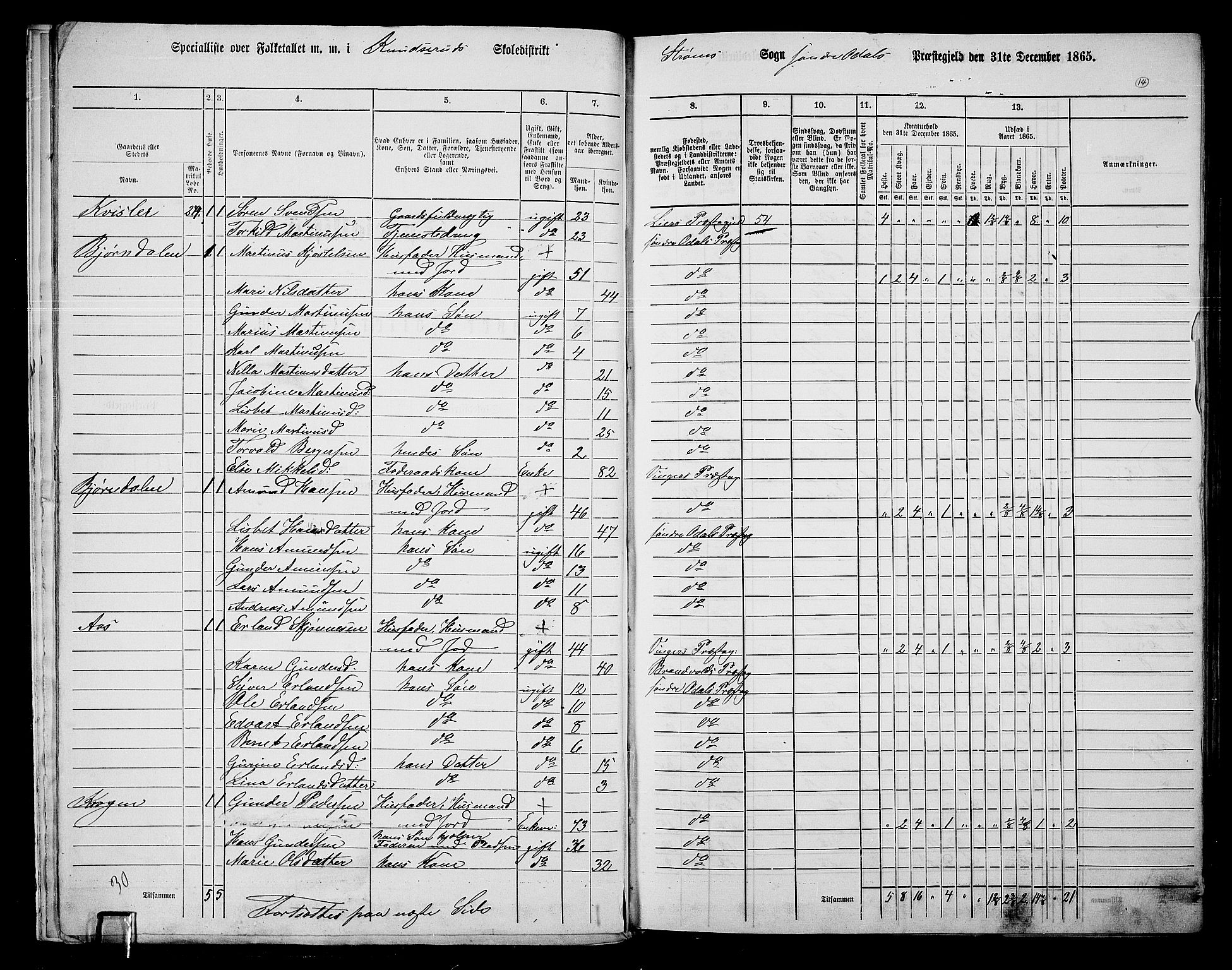 RA, 1865 census for Sør-Odal, 1865, p. 12