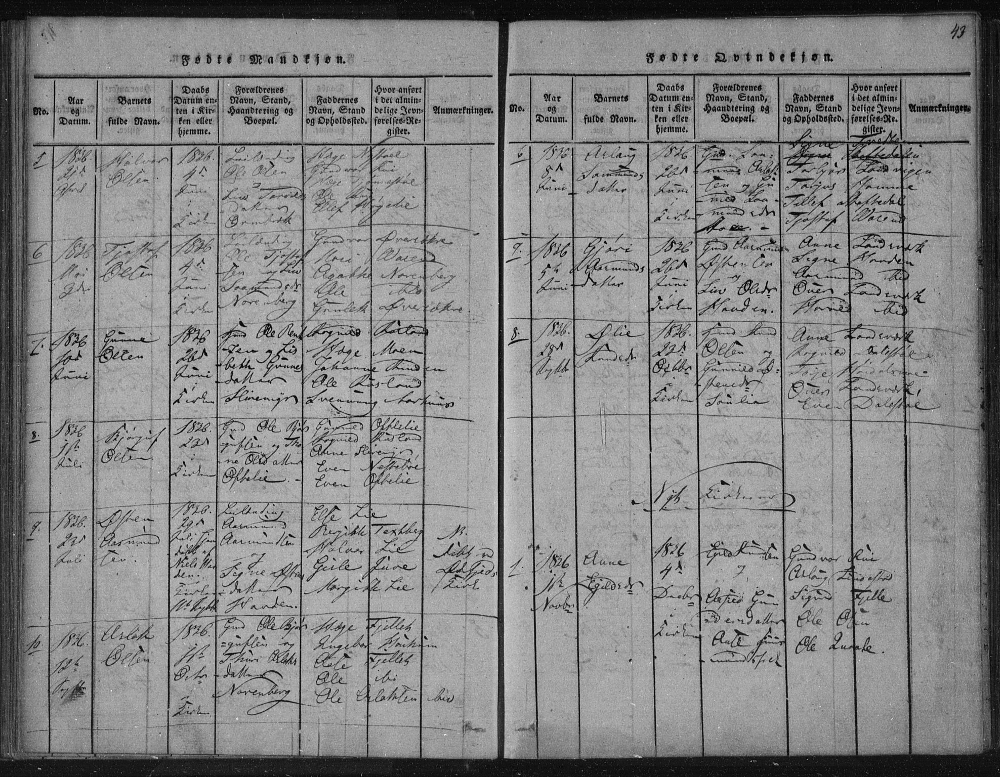 Lårdal kirkebøker, SAKO/A-284/F/Fc/L0001: Parish register (official) no. III 1, 1815-1860, p. 43