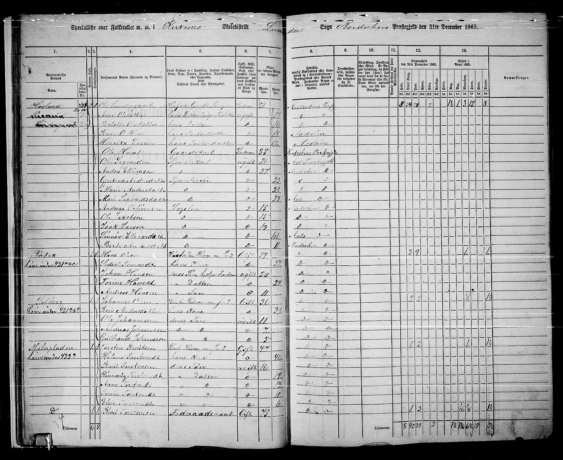 RA, 1865 census for Norderhov/Norderhov, Haug og Lunder, 1865, p. 29