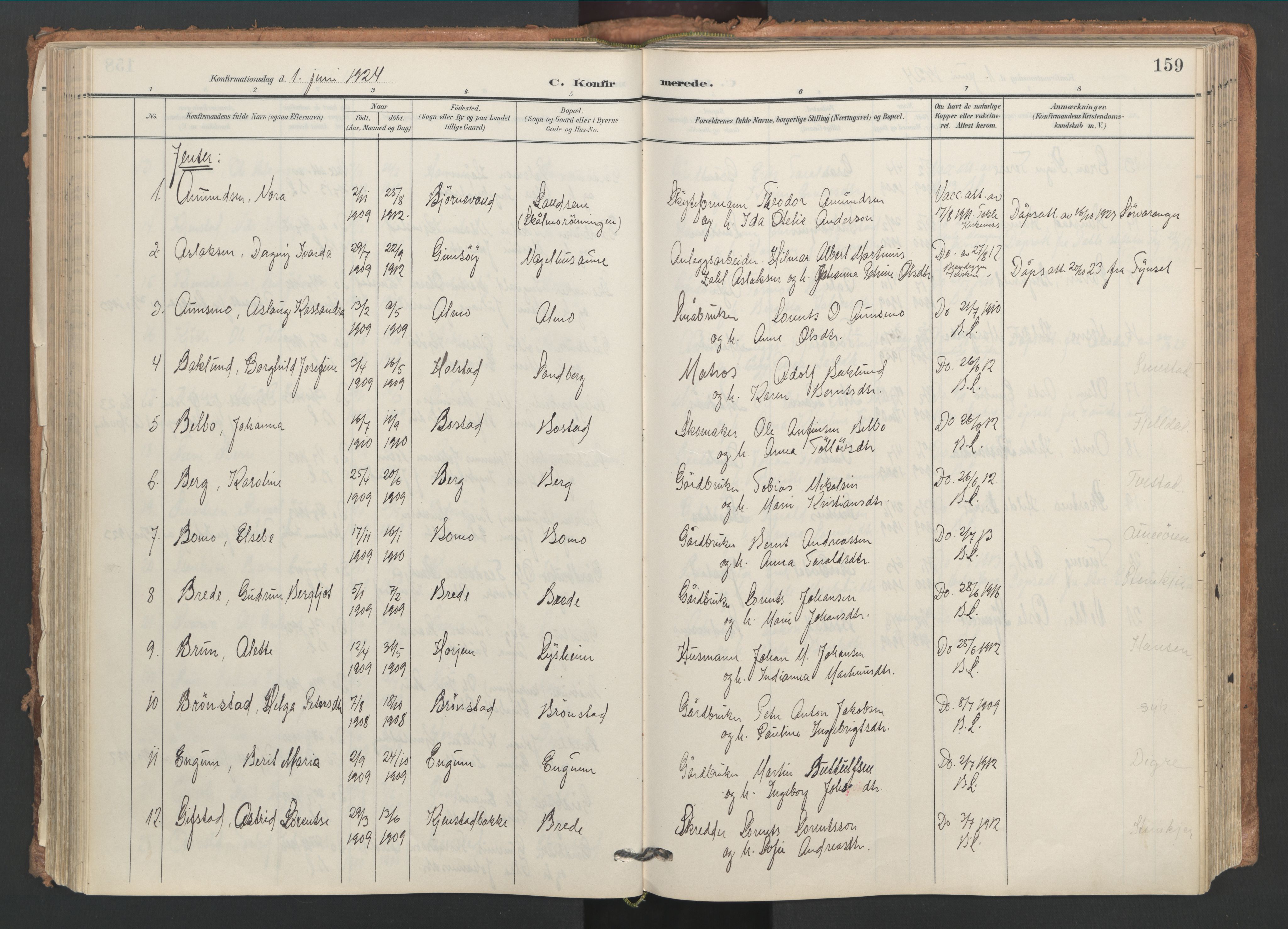 Ministerialprotokoller, klokkerbøker og fødselsregistre - Nord-Trøndelag, AV/SAT-A-1458/749/L0477: Parish register (official) no. 749A11, 1902-1927, p. 159