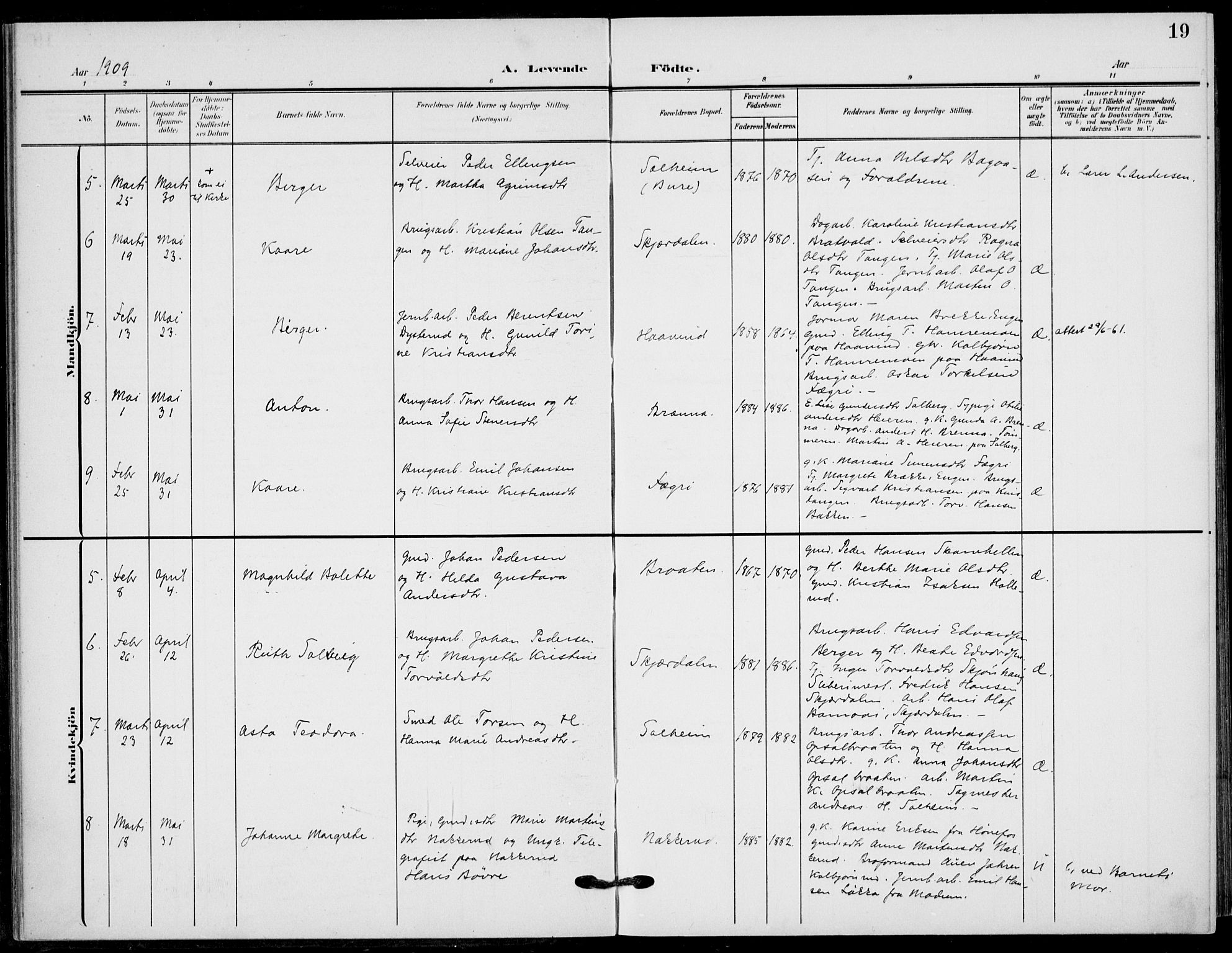 Hole kirkebøker, AV/SAKO-A-228/F/Fb/L0003: Parish register (official) no. II 3, 1906-1916, p. 19