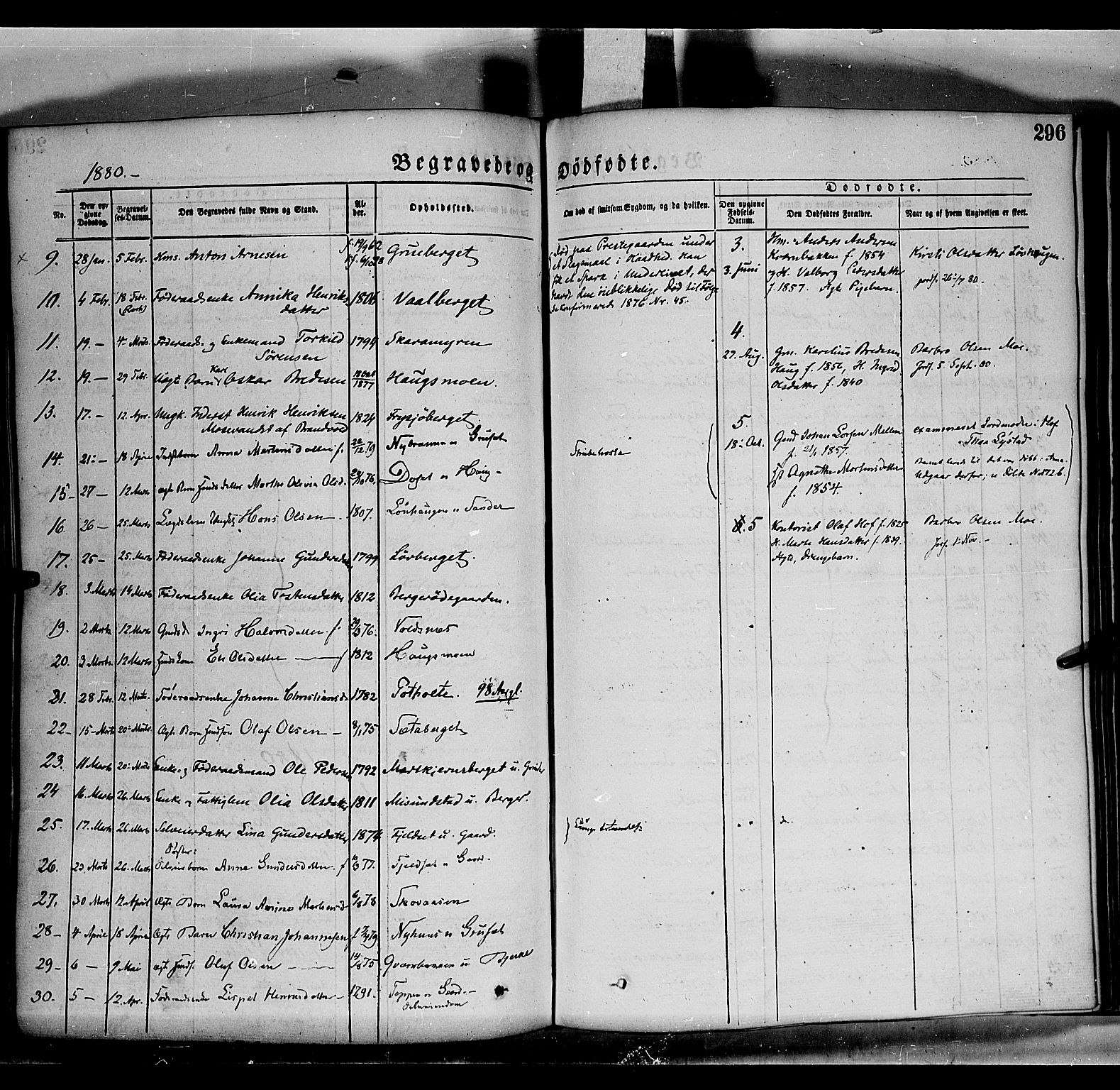 Grue prestekontor, SAH/PREST-036/H/Ha/Haa/L0011: Parish register (official) no. 11, 1873-1880, p. 296