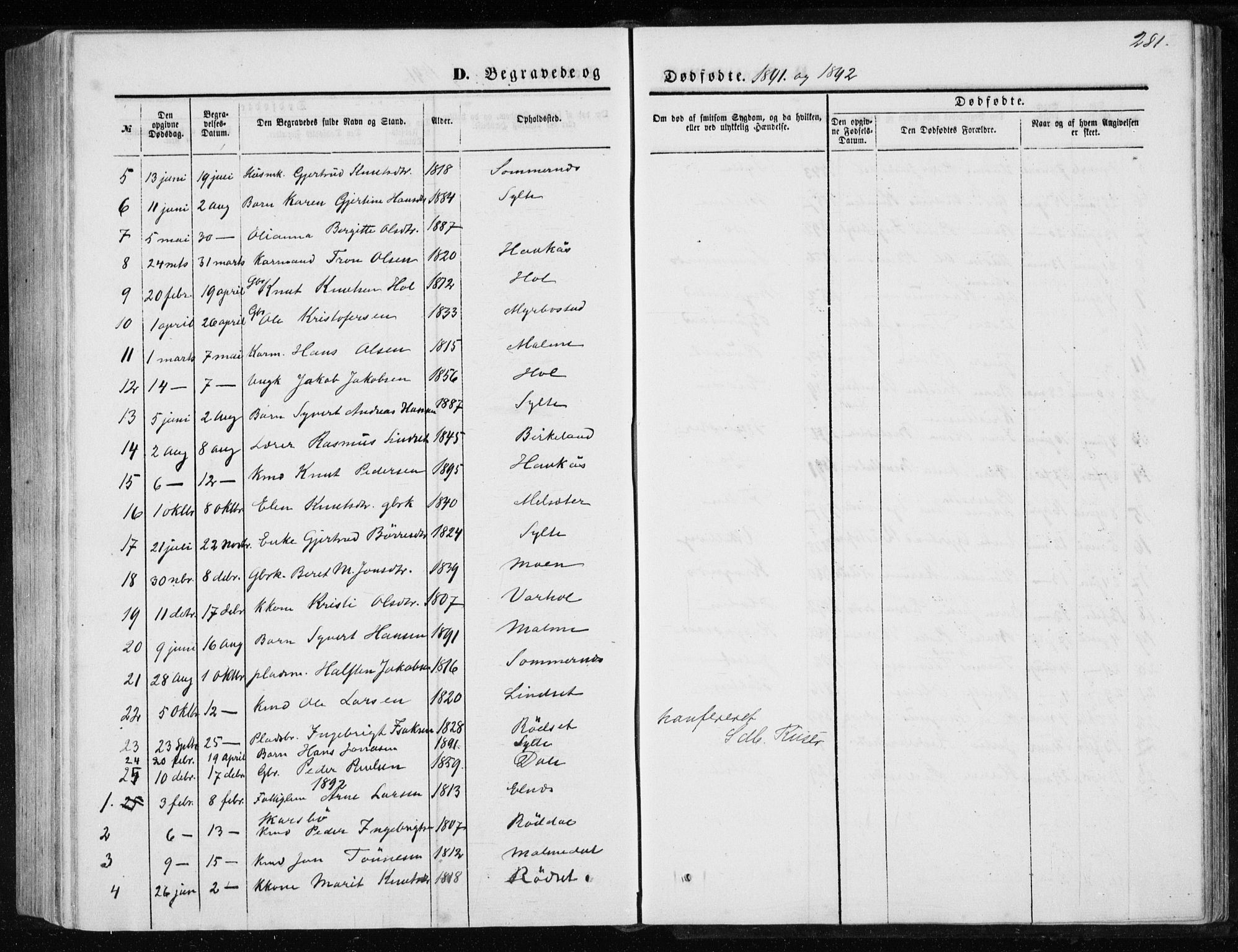 Ministerialprotokoller, klokkerbøker og fødselsregistre - Møre og Romsdal, AV/SAT-A-1454/565/L0754: Parish register (copy) no. 565C03, 1870-1896, p. 281