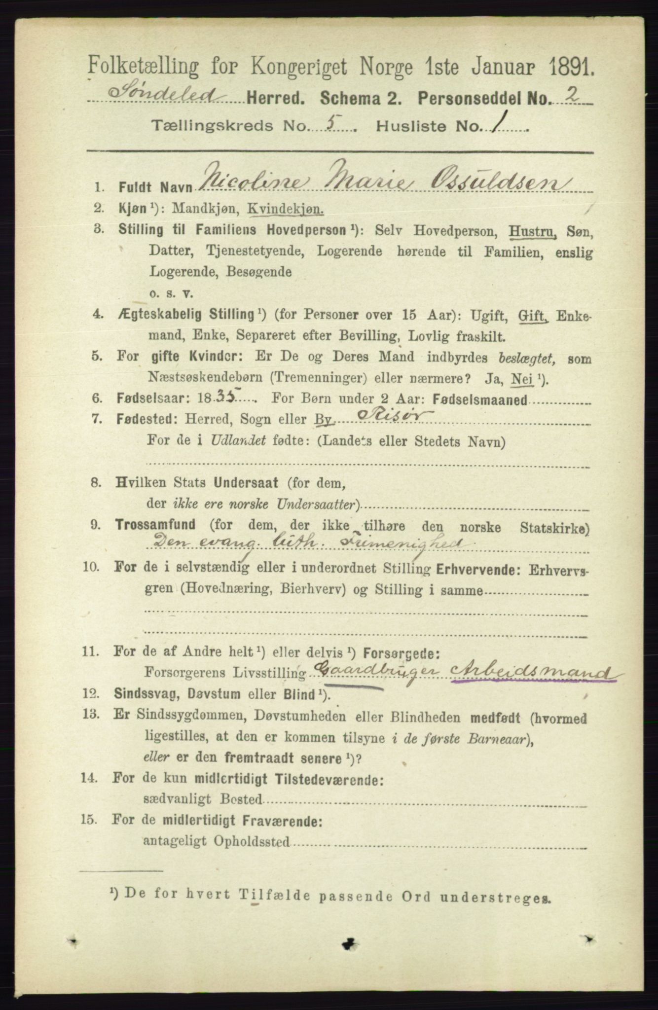 RA, 1891 census for 0913 Søndeled, 1891, p. 1218