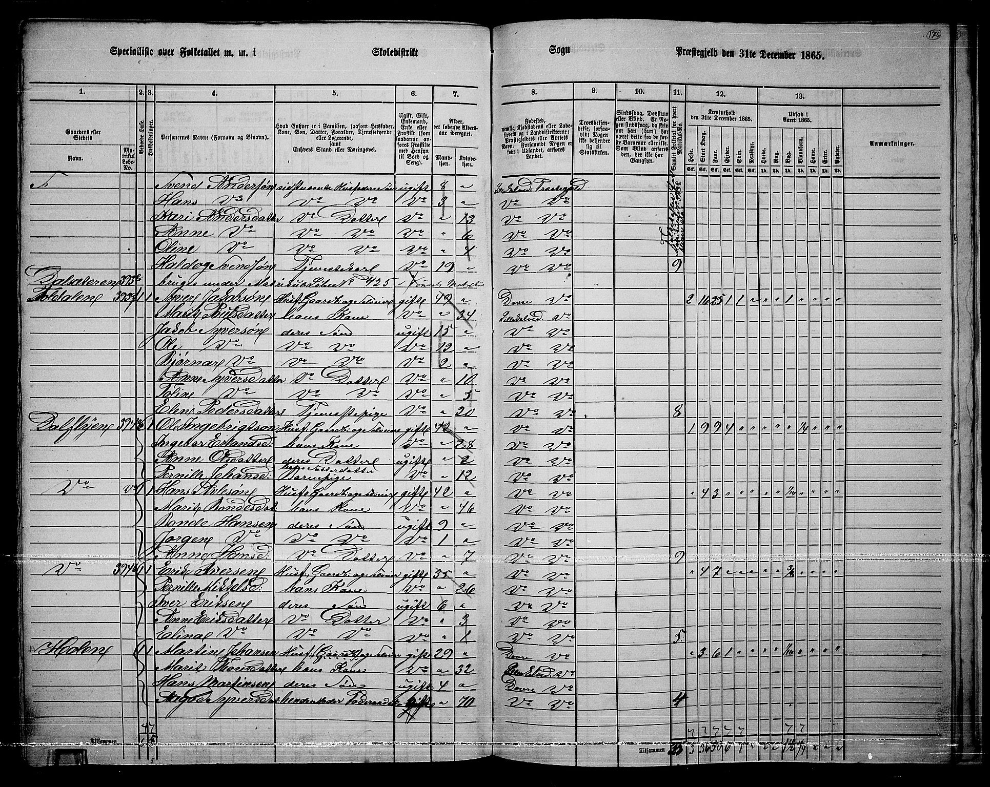 RA, 1865 census for Lille Elvedalen, 1865, p. 146