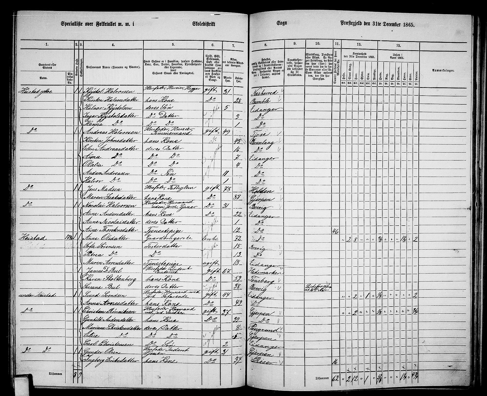 RA, 1865 census for Eidanger, 1865, p. 84