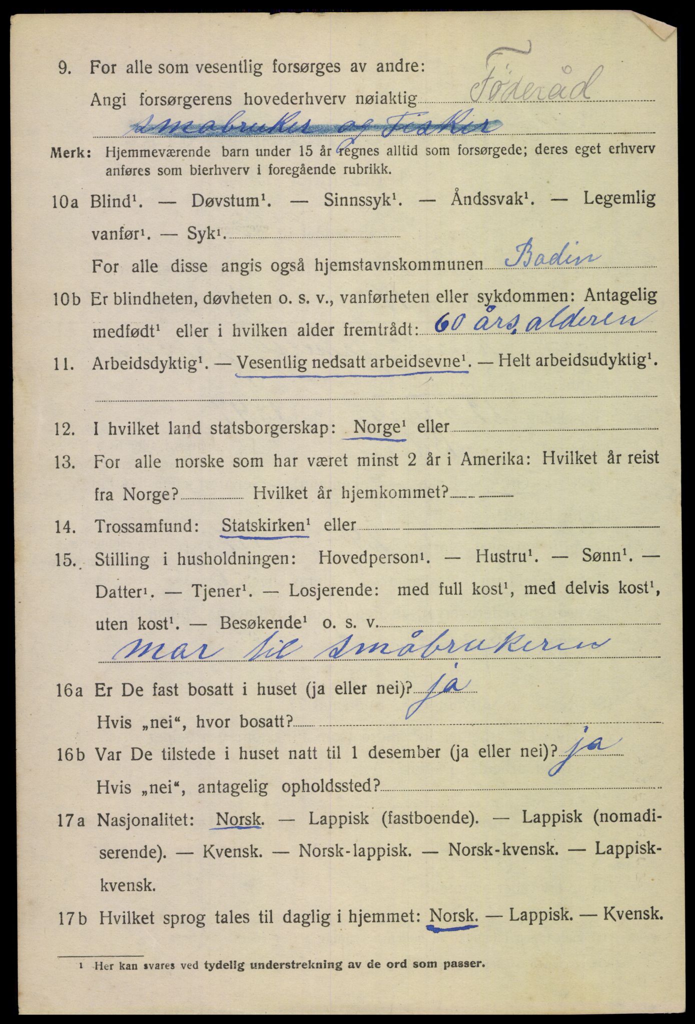 SAT, 1920 census for Bodin, 1920, p. 2103