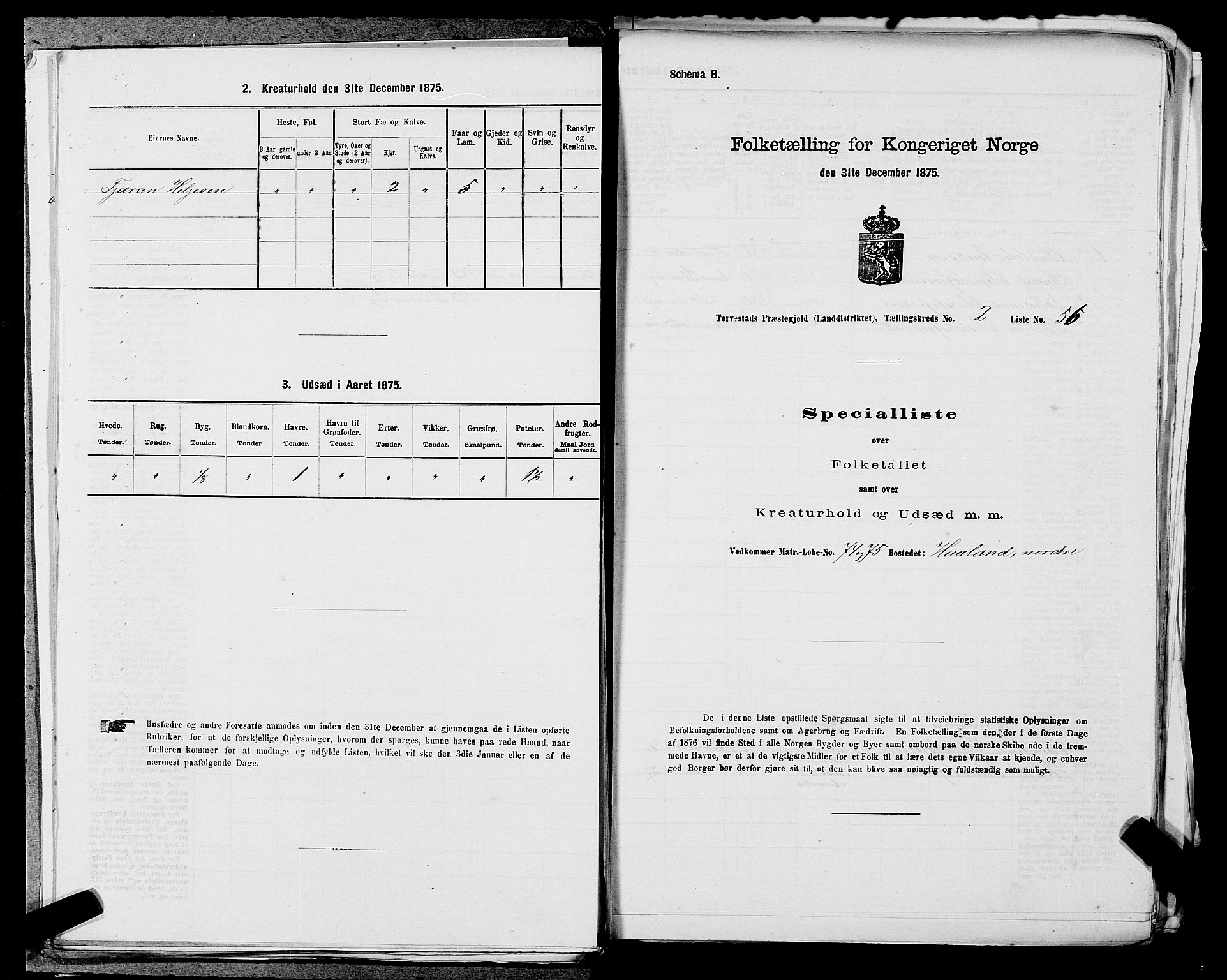 SAST, 1875 census for 1152L Torvastad/Torvastad, Skåre og Utsira, 1875, p. 311