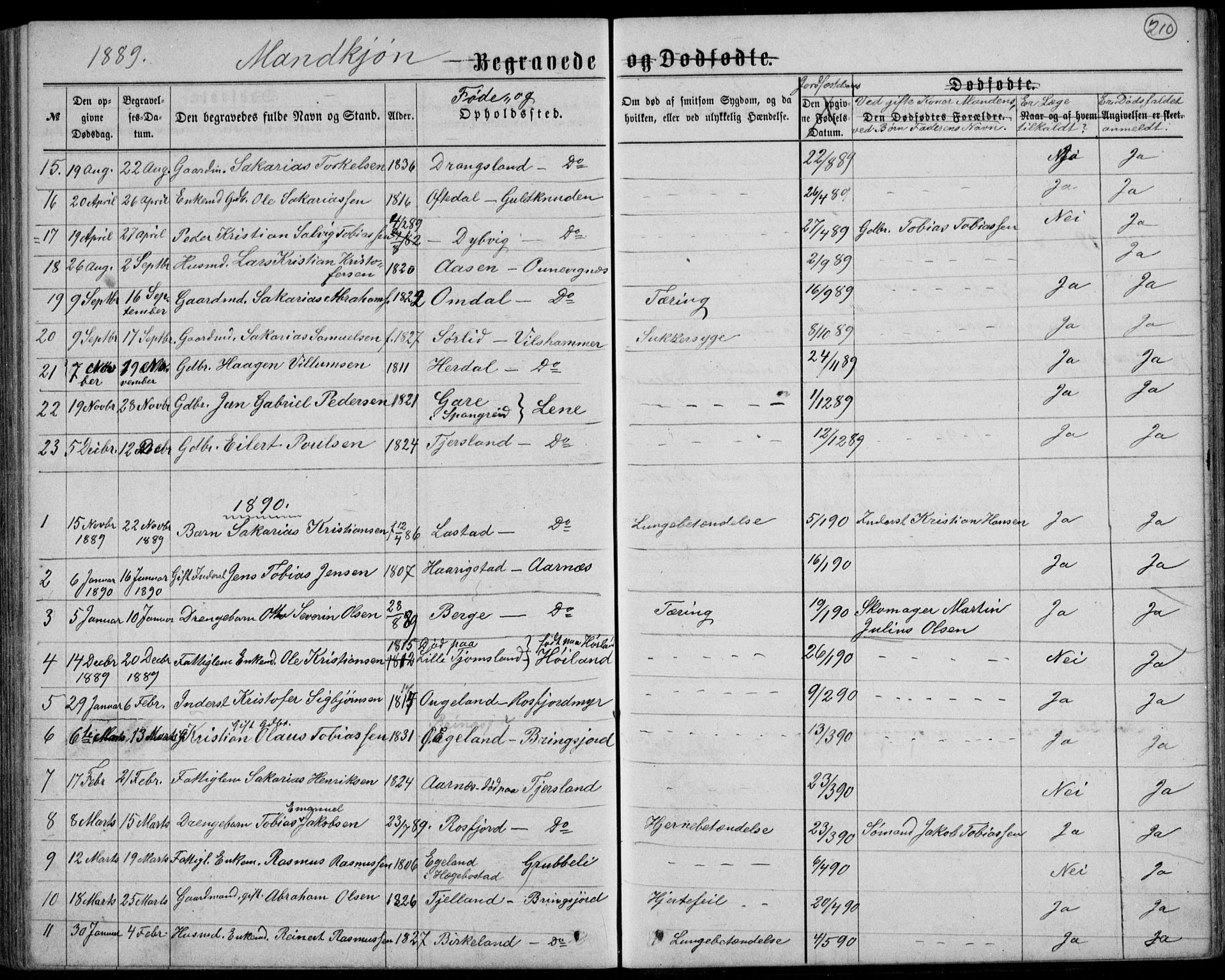 Lyngdal sokneprestkontor, AV/SAK-1111-0029/F/Fb/Fbc/L0004: Parish register (copy) no. B 4, 1878-1896, p. 210