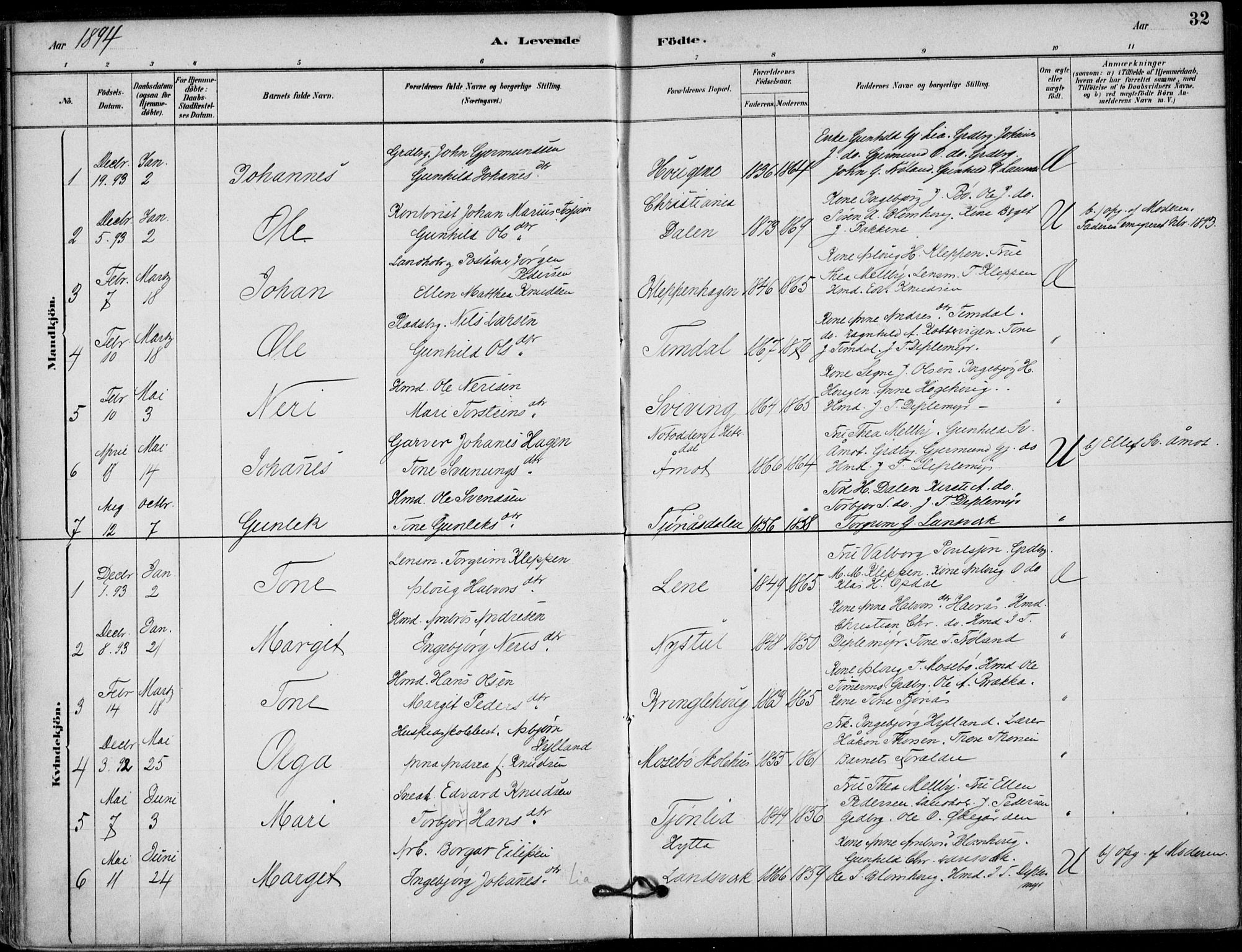 Hjartdal kirkebøker, SAKO/A-270/F/Fb/L0002: Parish register (official) no. II 2, 1880-1932, p. 32