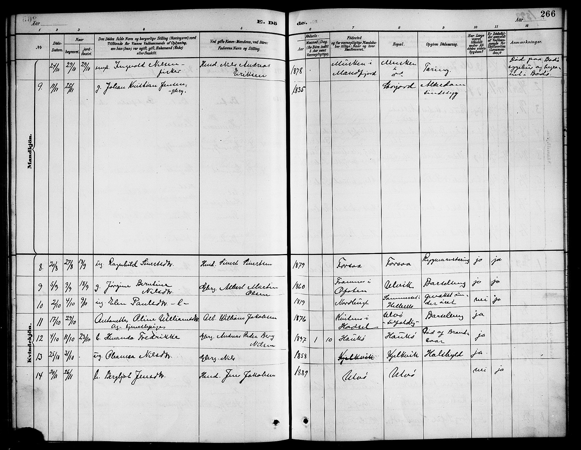 Ministerialprotokoller, klokkerbøker og fødselsregistre - Nordland, AV/SAT-A-1459/861/L0876: Parish register (copy) no. 861C02, 1887-1903, p. 266