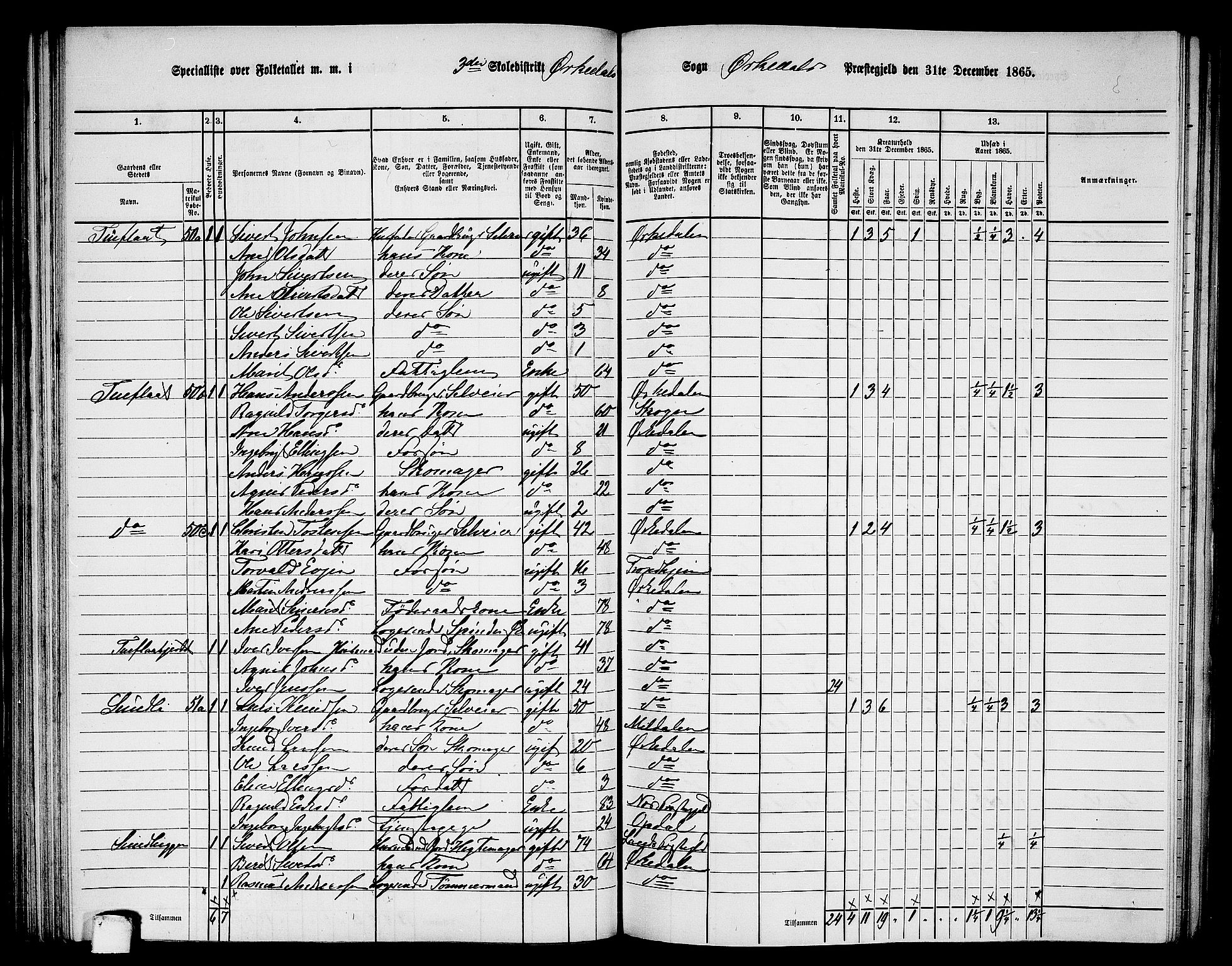 RA, 1865 census for Orkdal, 1865, p. 98