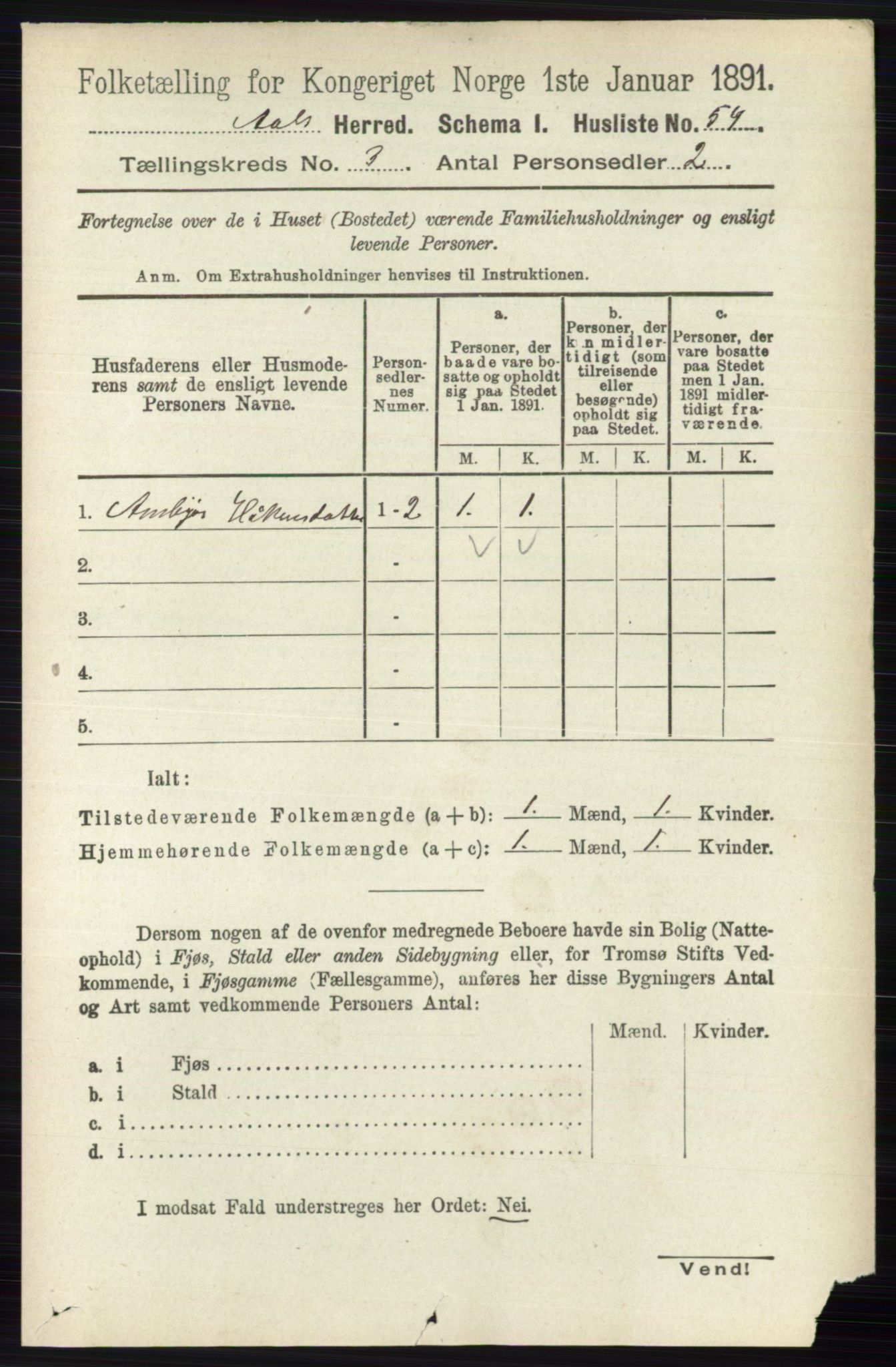 RA, 1891 census for 0619 Ål, 1891, p. 650