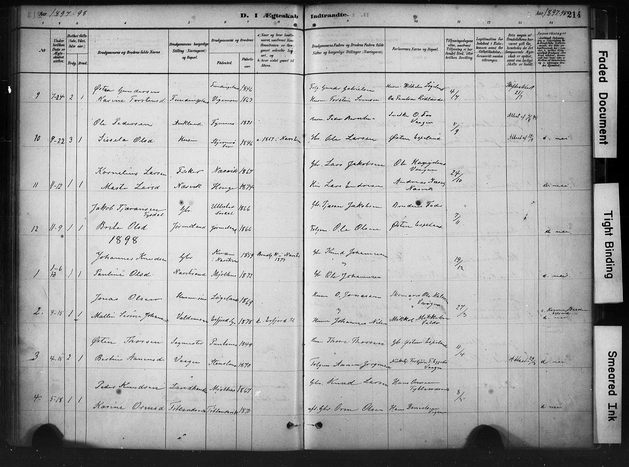 Hjelmeland sokneprestkontor, AV/SAST-A-101843/01/IV/L0014: Parish register (official) no. A 14, 1879-1900, p. 214