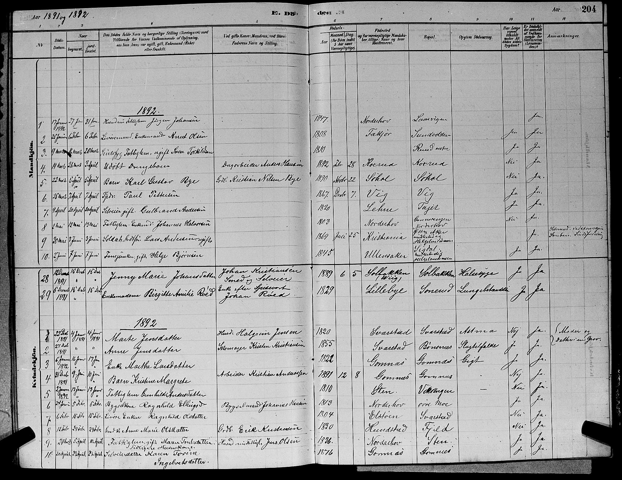 Hole kirkebøker, SAKO/A-228/G/Ga/L0003: Parish register (copy) no. I 3, 1879-1904, p. 204
