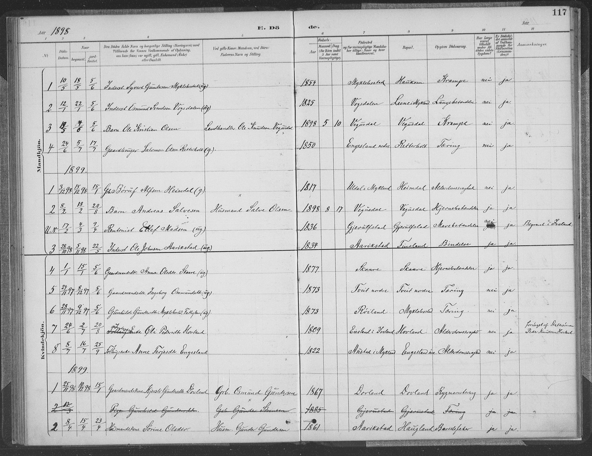Herefoss sokneprestkontor, SAK/1111-0019/F/Fa/Fab/L0004: Parish register (official) no. A 4, 1887-1909, p. 117