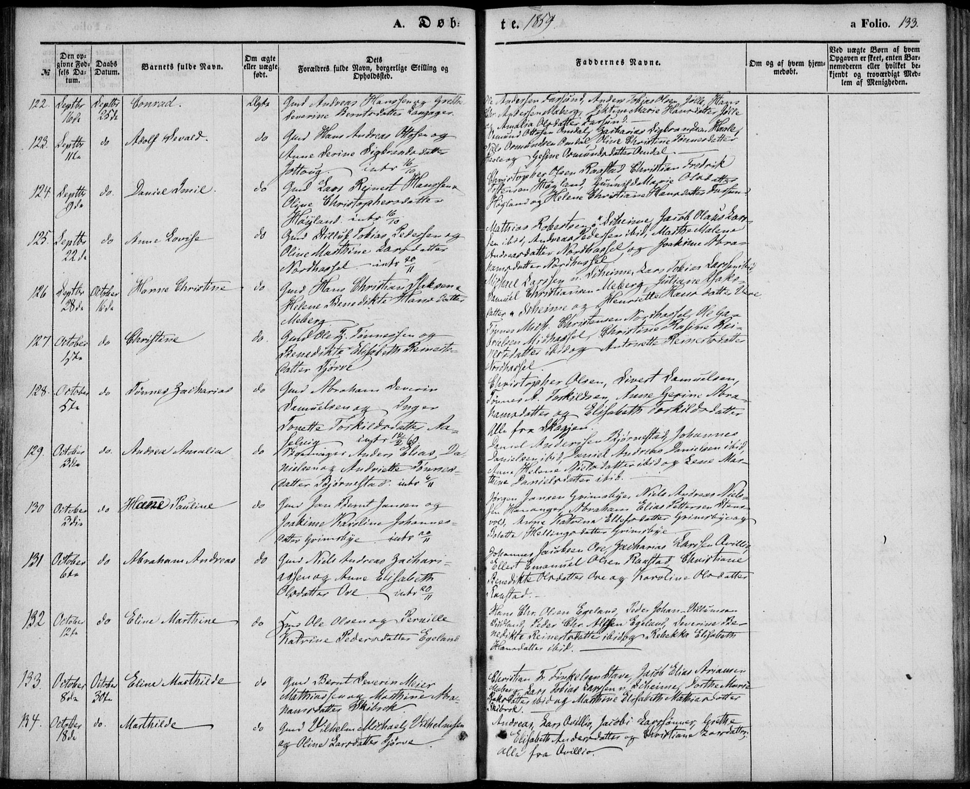 Lista sokneprestkontor, AV/SAK-1111-0027/F/Fb/L0002: Parish register (copy) no. B 2, 1847-1862, p. 133