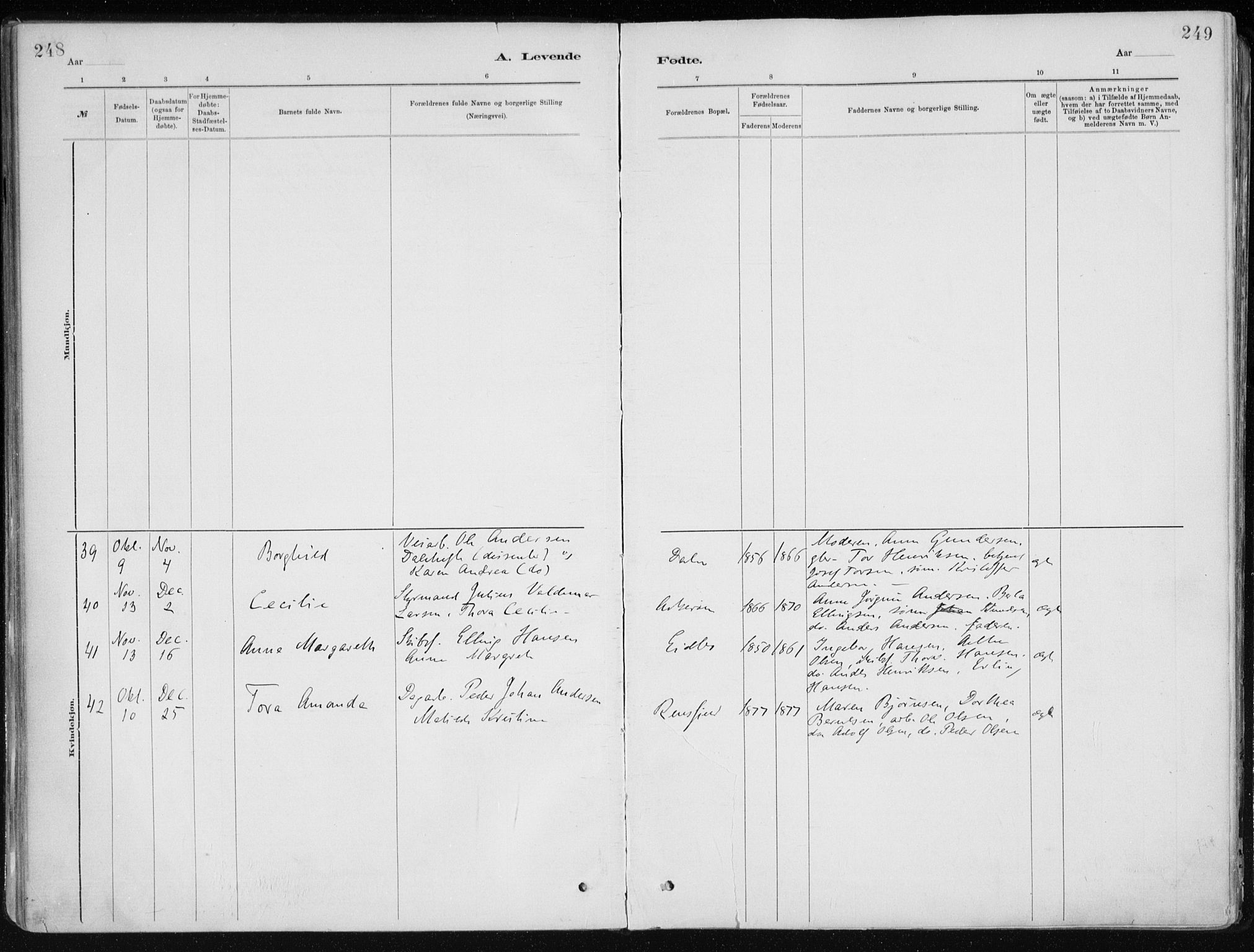 Dypvåg sokneprestkontor, AV/SAK-1111-0007/F/Fa/Faa/L0008: Parish register (official) no. A 8, 1885-1906, p. 248-249