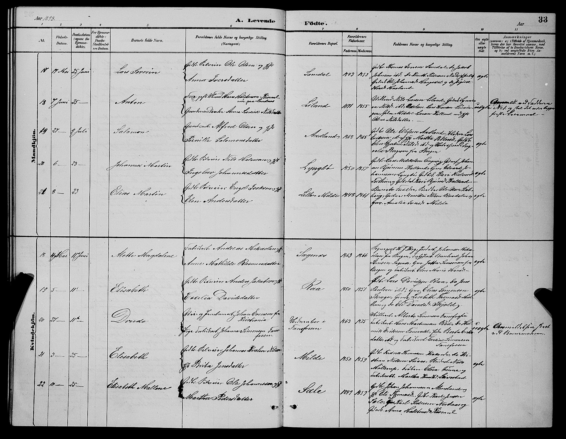 Fana Sokneprestembete, AV/SAB-A-75101/H/Hab/Haba/L0002: Parish register (copy) no. A 2, 1889-1895, p. 33