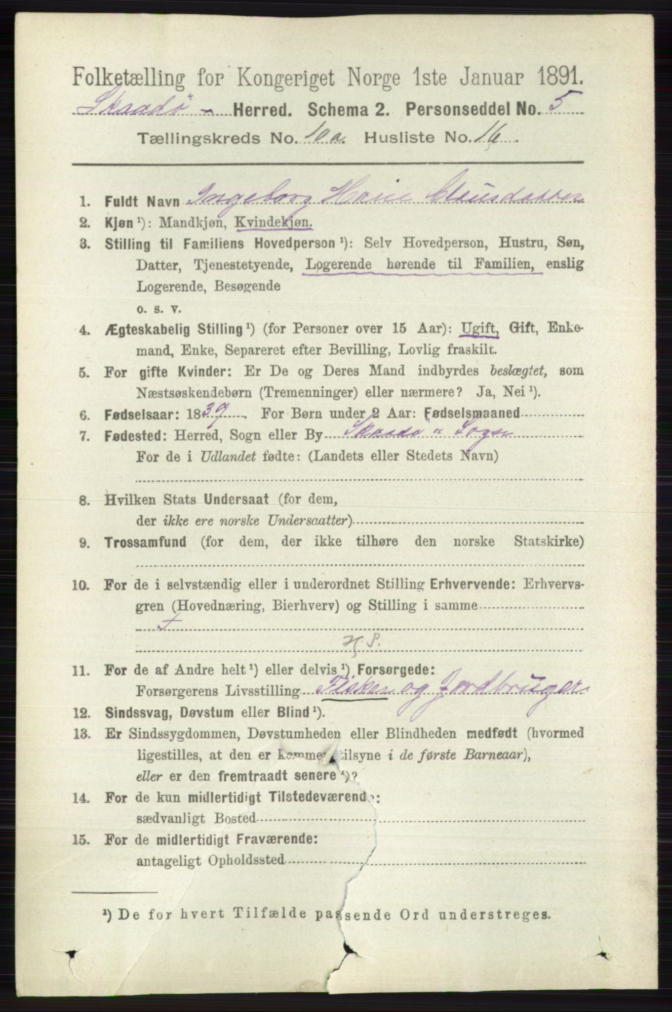 RA, 1891 census for 0815 Skåtøy, 1891, p. 4119