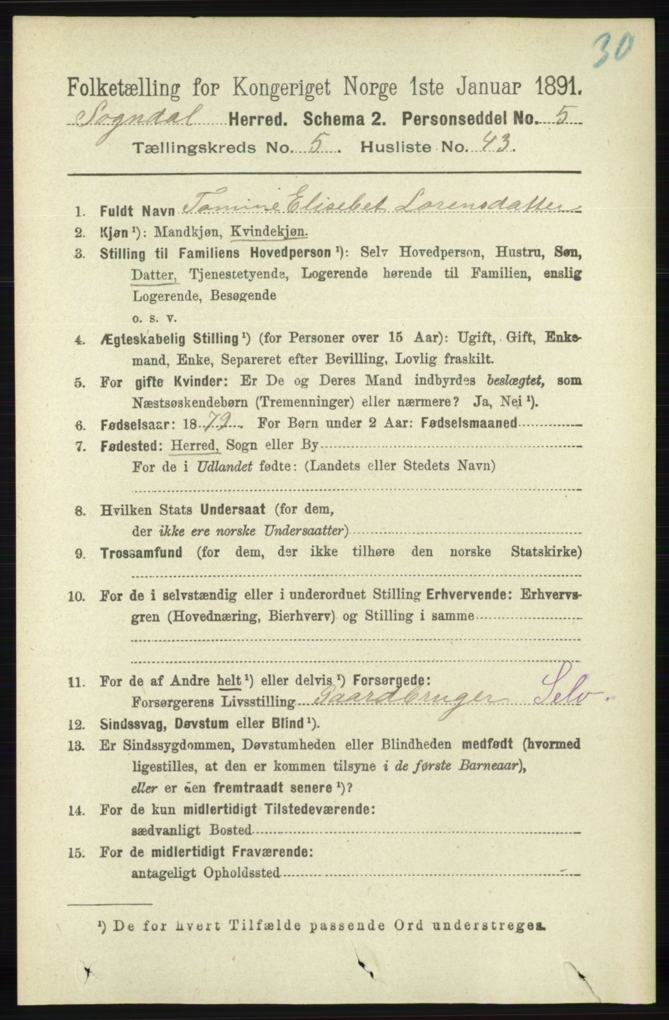 RA, 1891 census for 1111 Sokndal, 1891, p. 1565