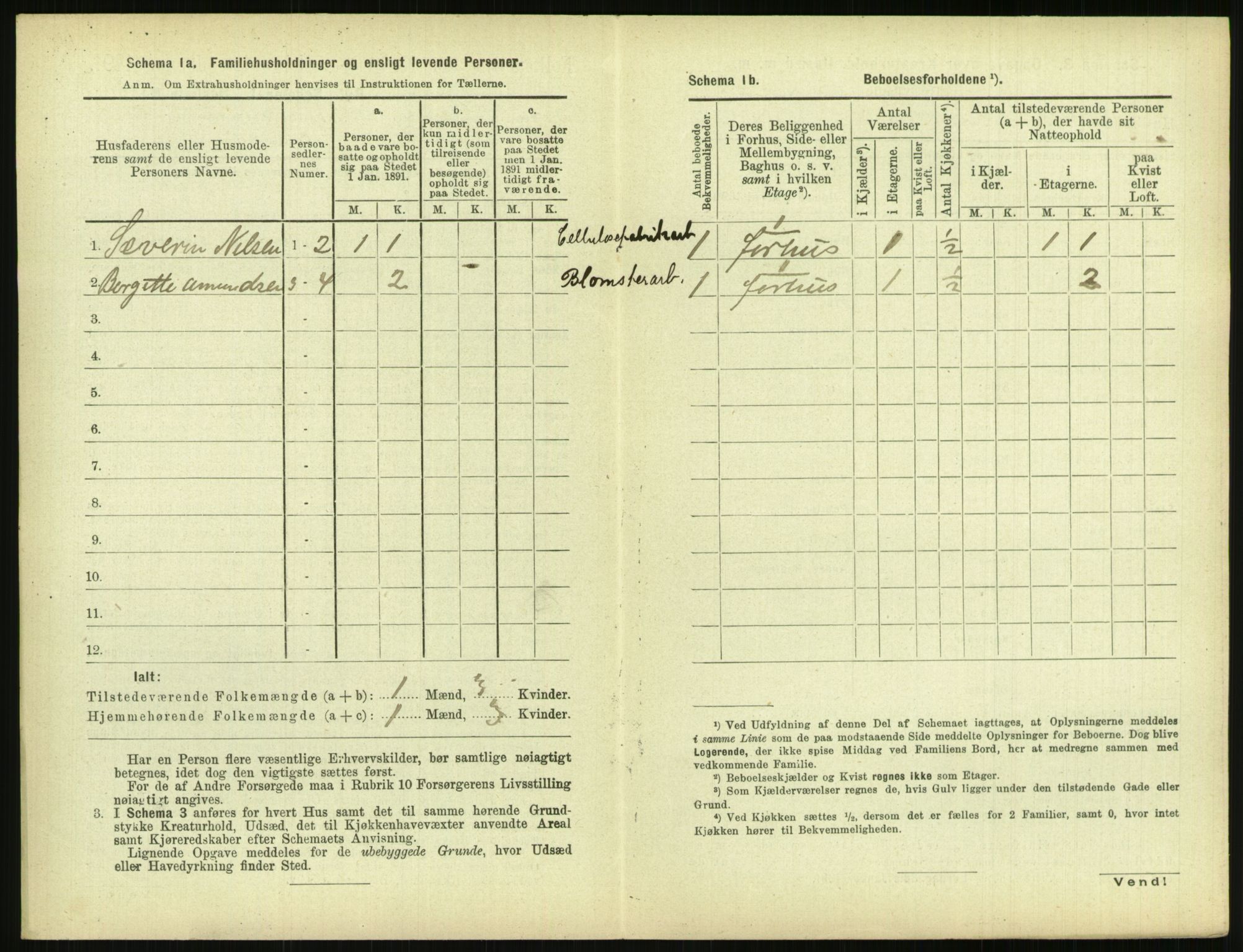 RA, 1891 census for 0806 Skien, 1891, p. 1973