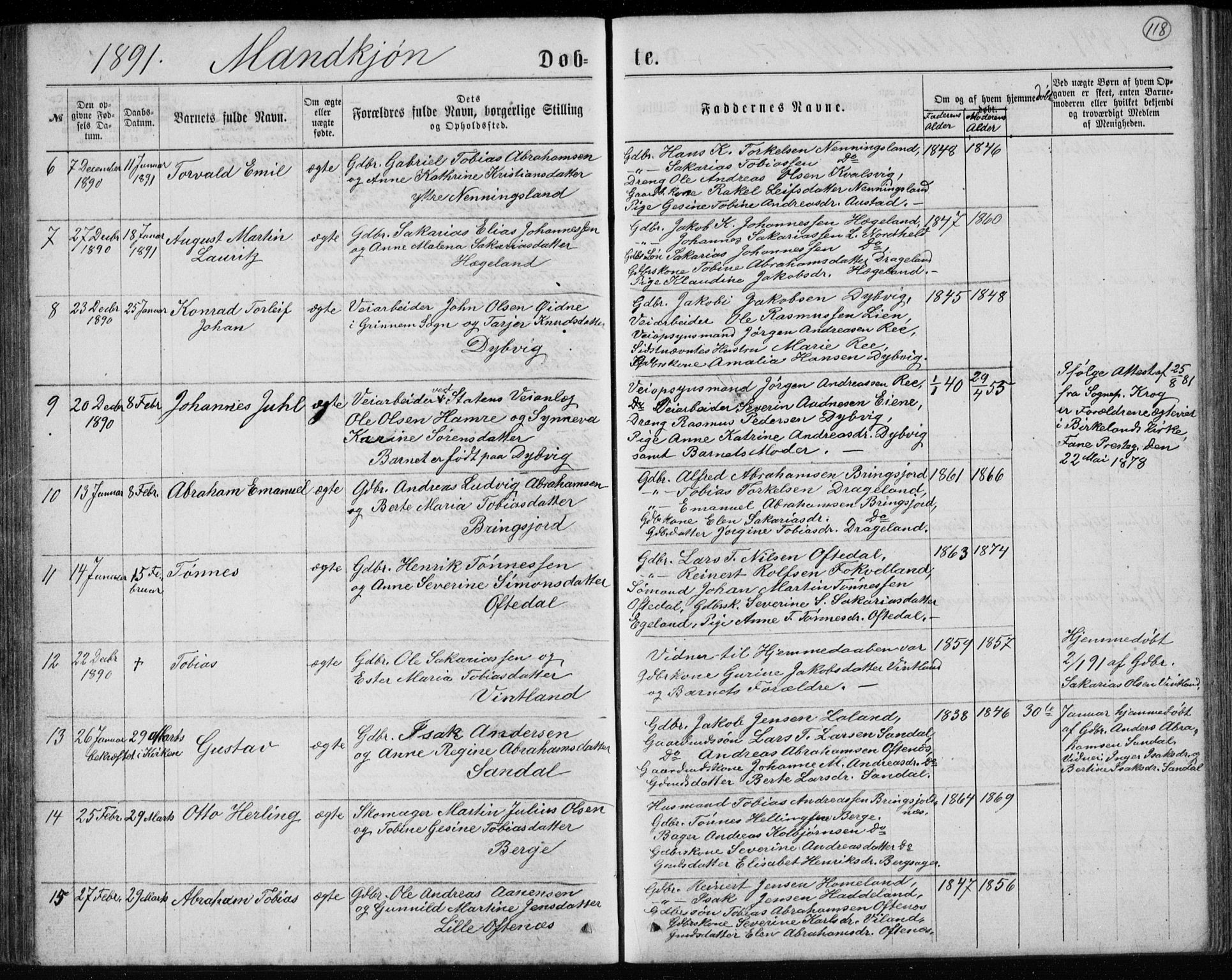 Lyngdal sokneprestkontor, AV/SAK-1111-0029/F/Fb/Fbc/L0004: Parish register (copy) no. B 4, 1878-1896, p. 118