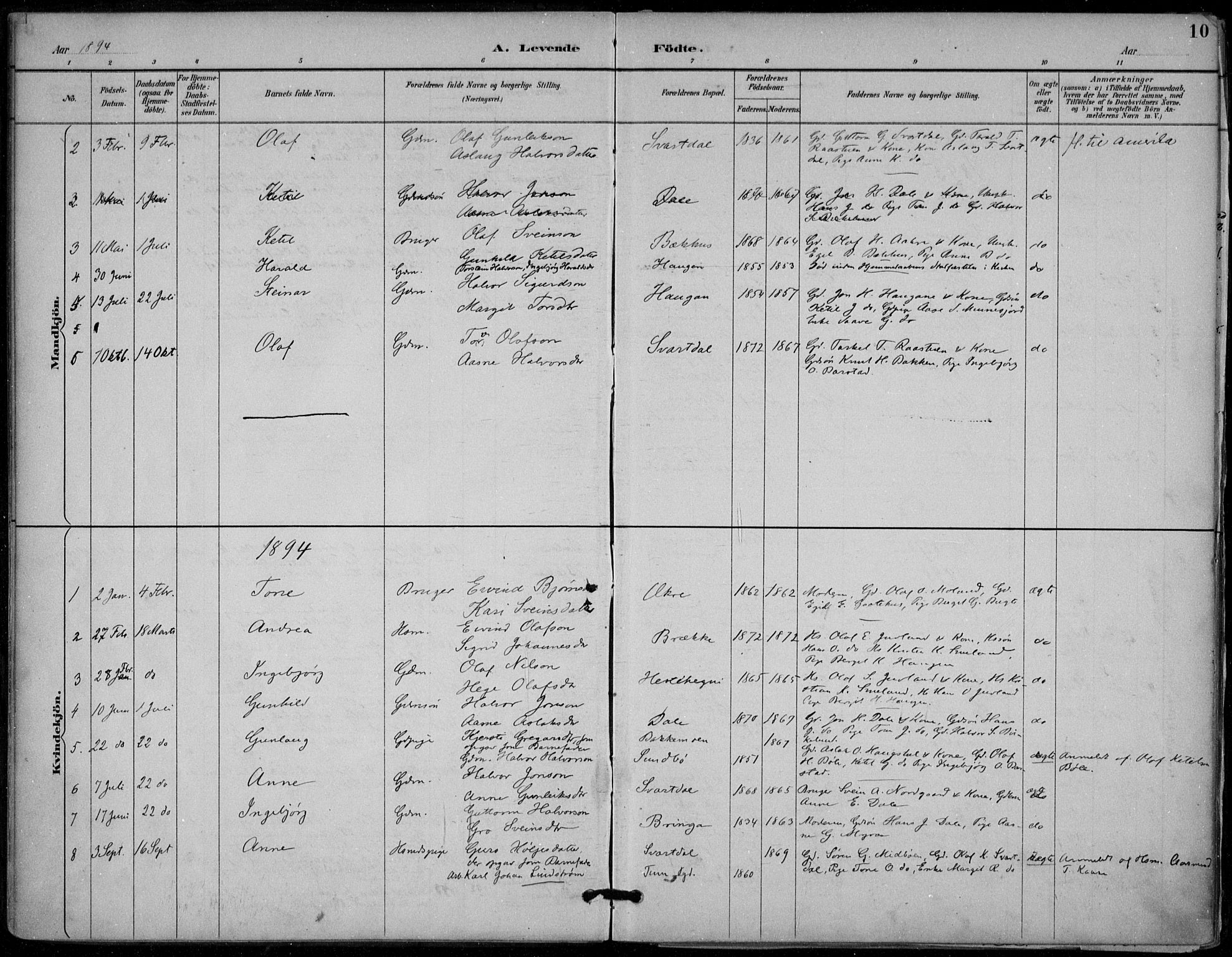 Seljord kirkebøker, SAKO/A-20/F/Fb/L0002: Parish register (official) no. II 2, 1887-1917, p. 10