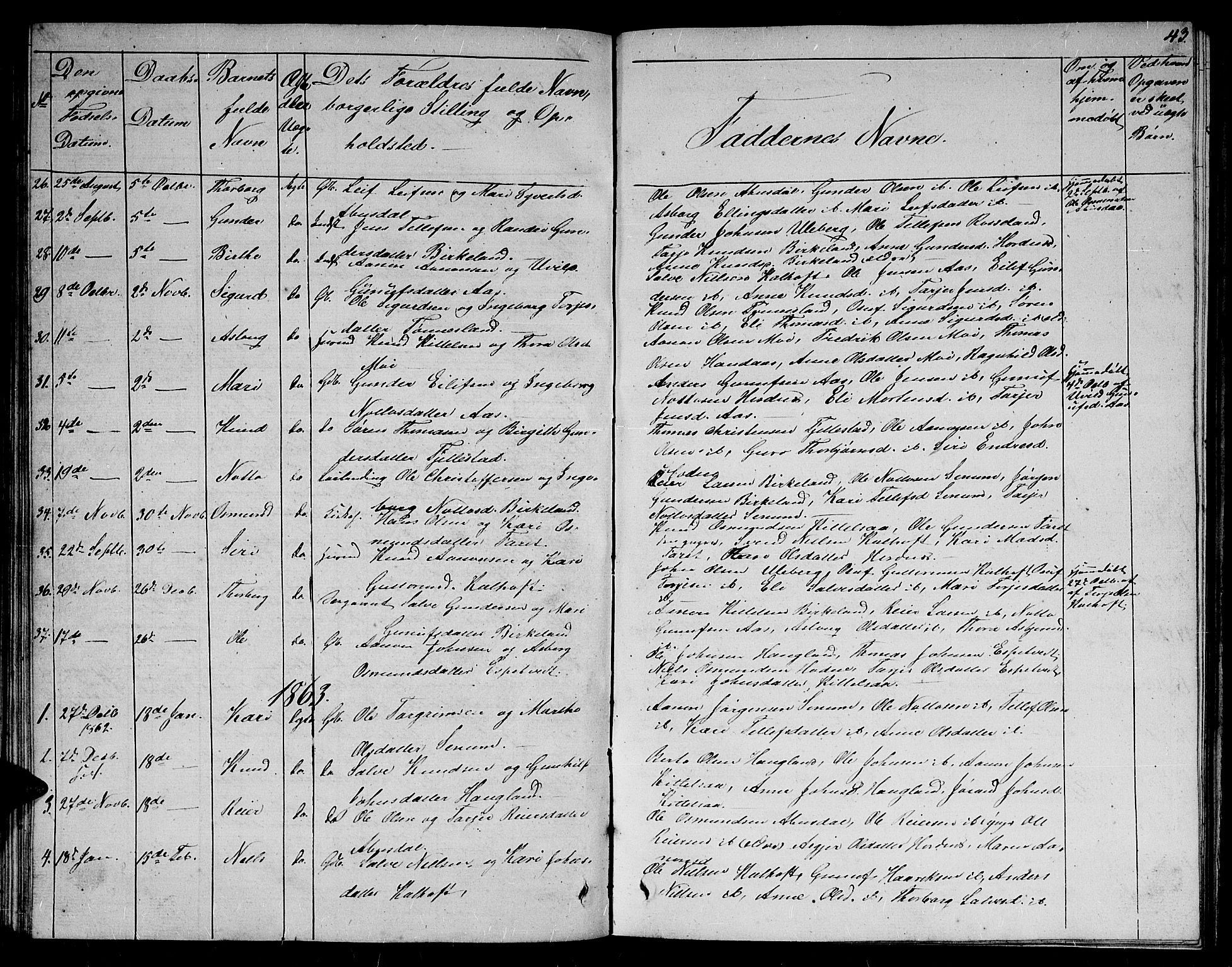 Evje sokneprestkontor, AV/SAK-1111-0008/F/Fb/Fbb/L0001: Parish register (copy) no. B 1, 1849-1878, p. 43