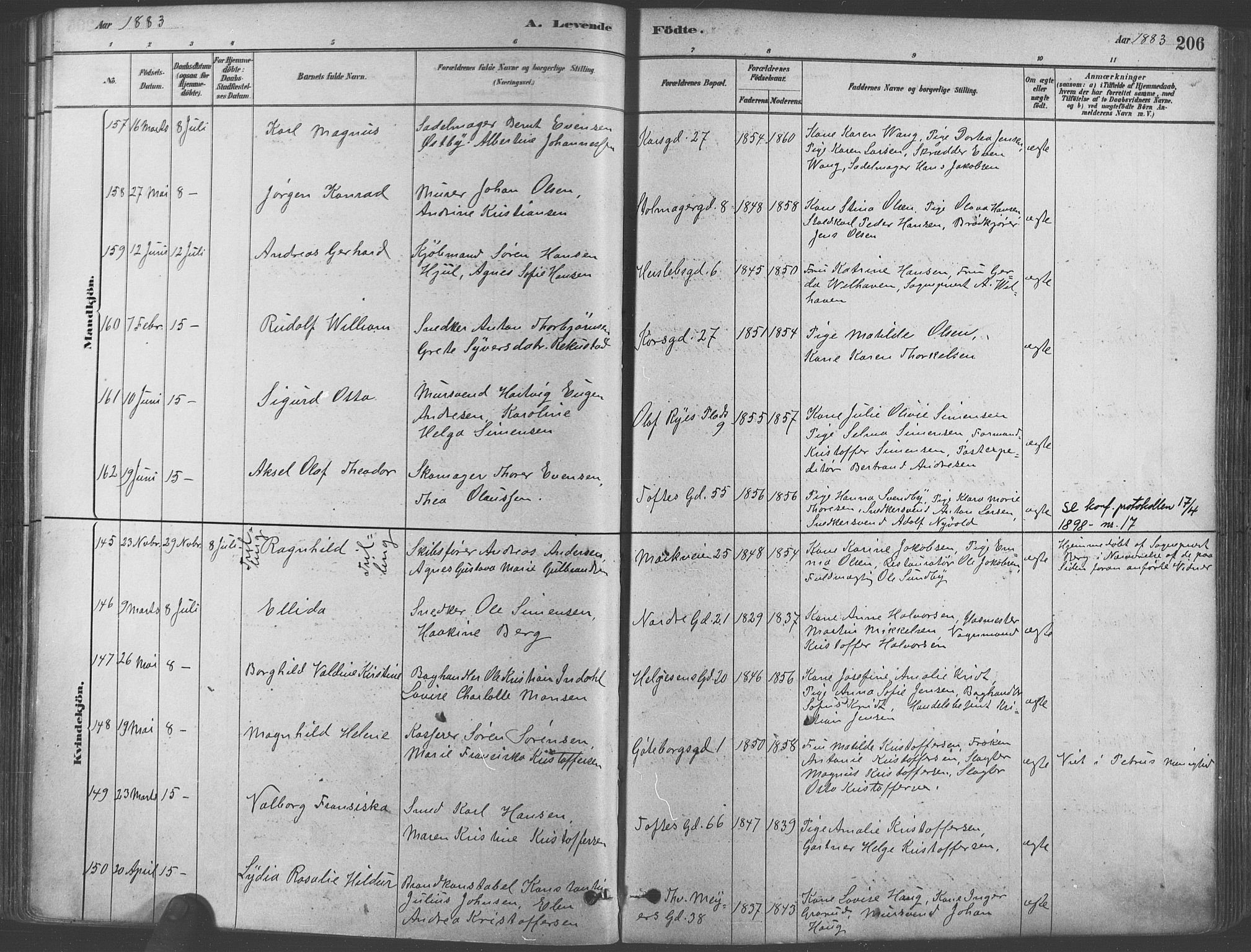 Paulus prestekontor Kirkebøker, AV/SAO-A-10871/F/Fa/L0003: Parish register (official) no. 3, 1879-1887, p. 206