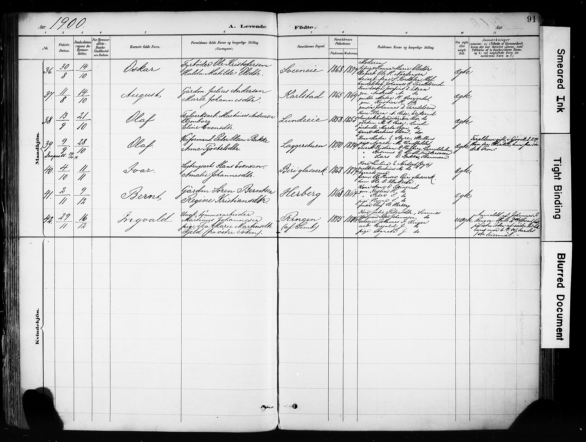 Biri prestekontor, AV/SAH-PREST-096/H/Ha/Haa/L0009: Parish register (official) no. 9, 1887-1900, p. 91