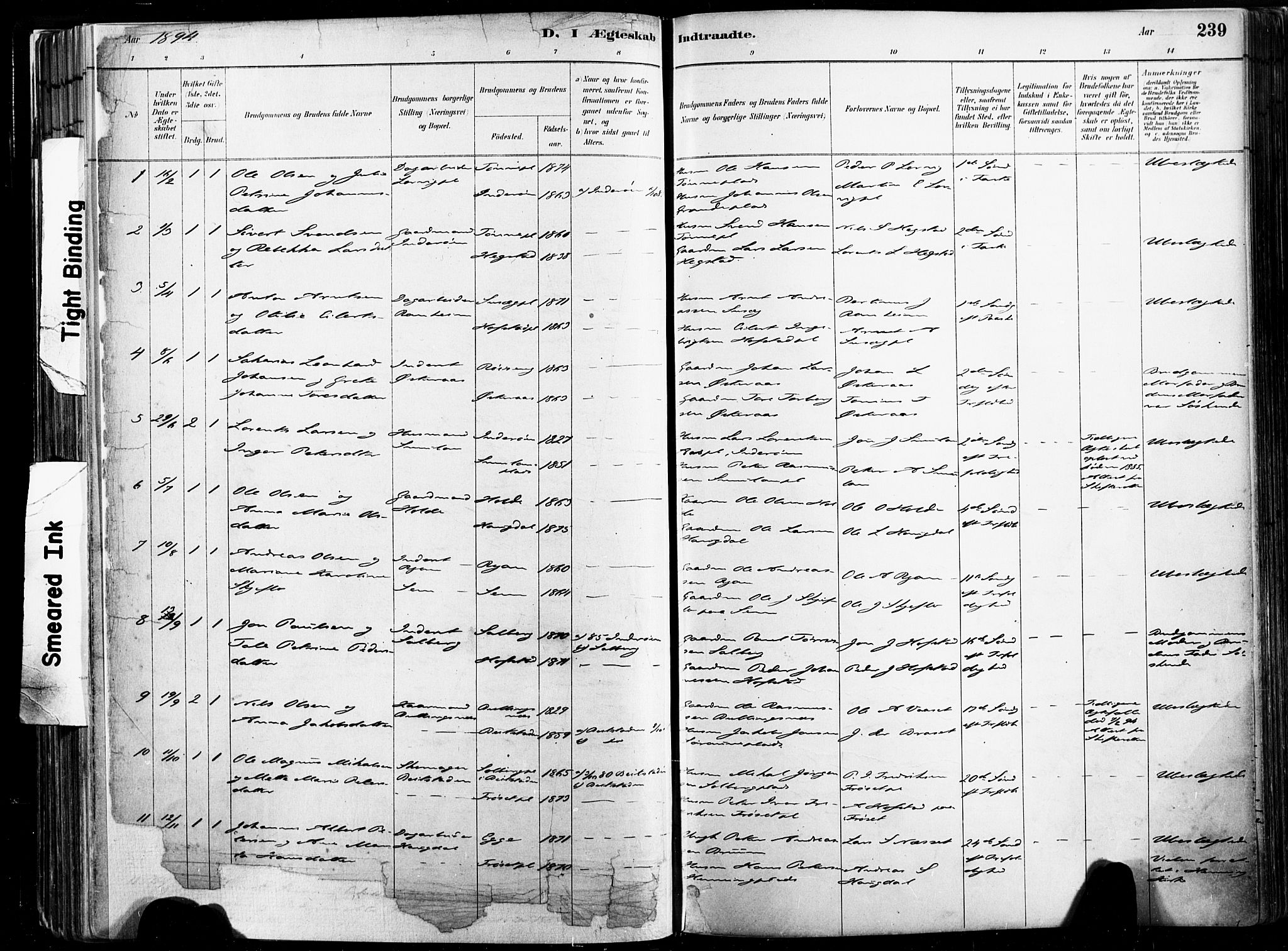 Ministerialprotokoller, klokkerbøker og fødselsregistre - Nord-Trøndelag, SAT/A-1458/735/L0351: Parish register (official) no. 735A10, 1884-1908, p. 239