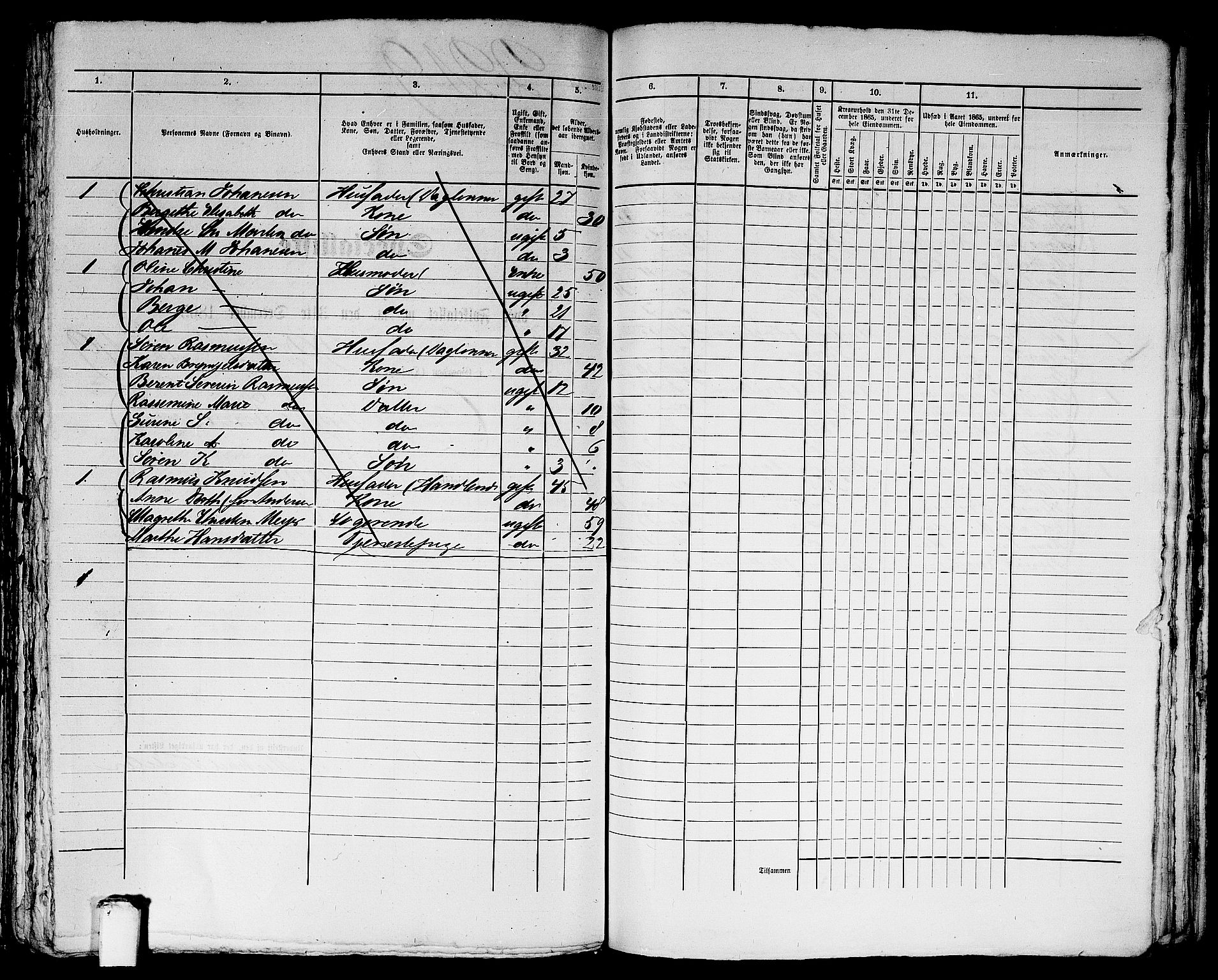 RA, 1865 census for Bergen, 1865, p. 4535