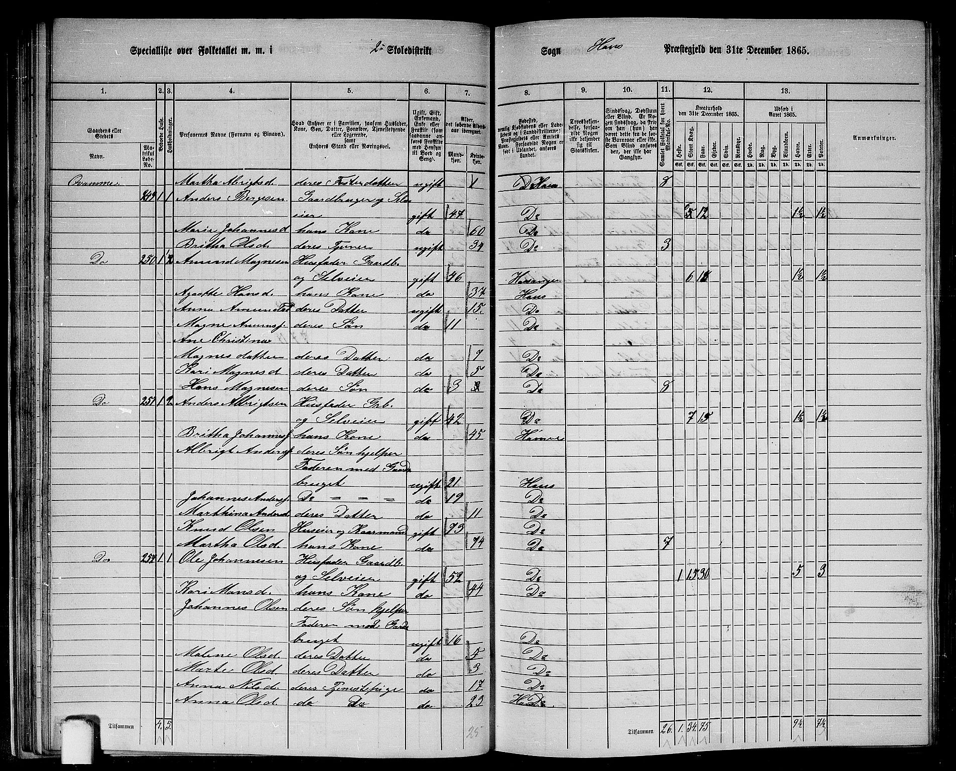 RA, 1865 census for Haus, 1865, p. 45