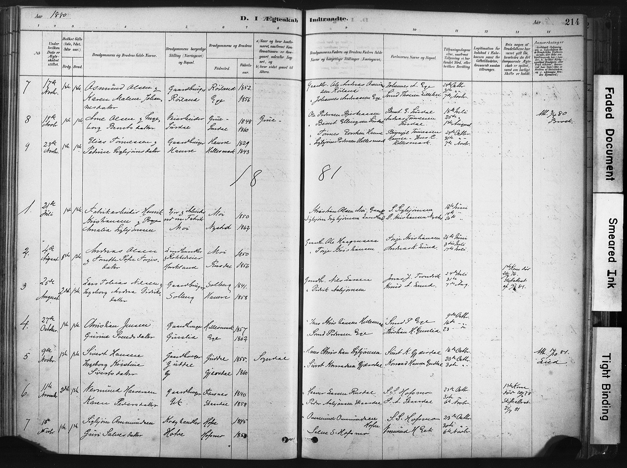 Lund sokneprestkontor, SAST/A-101809/S06/L0011: Parish register (official) no. A 10, 1877-1904, p. 214