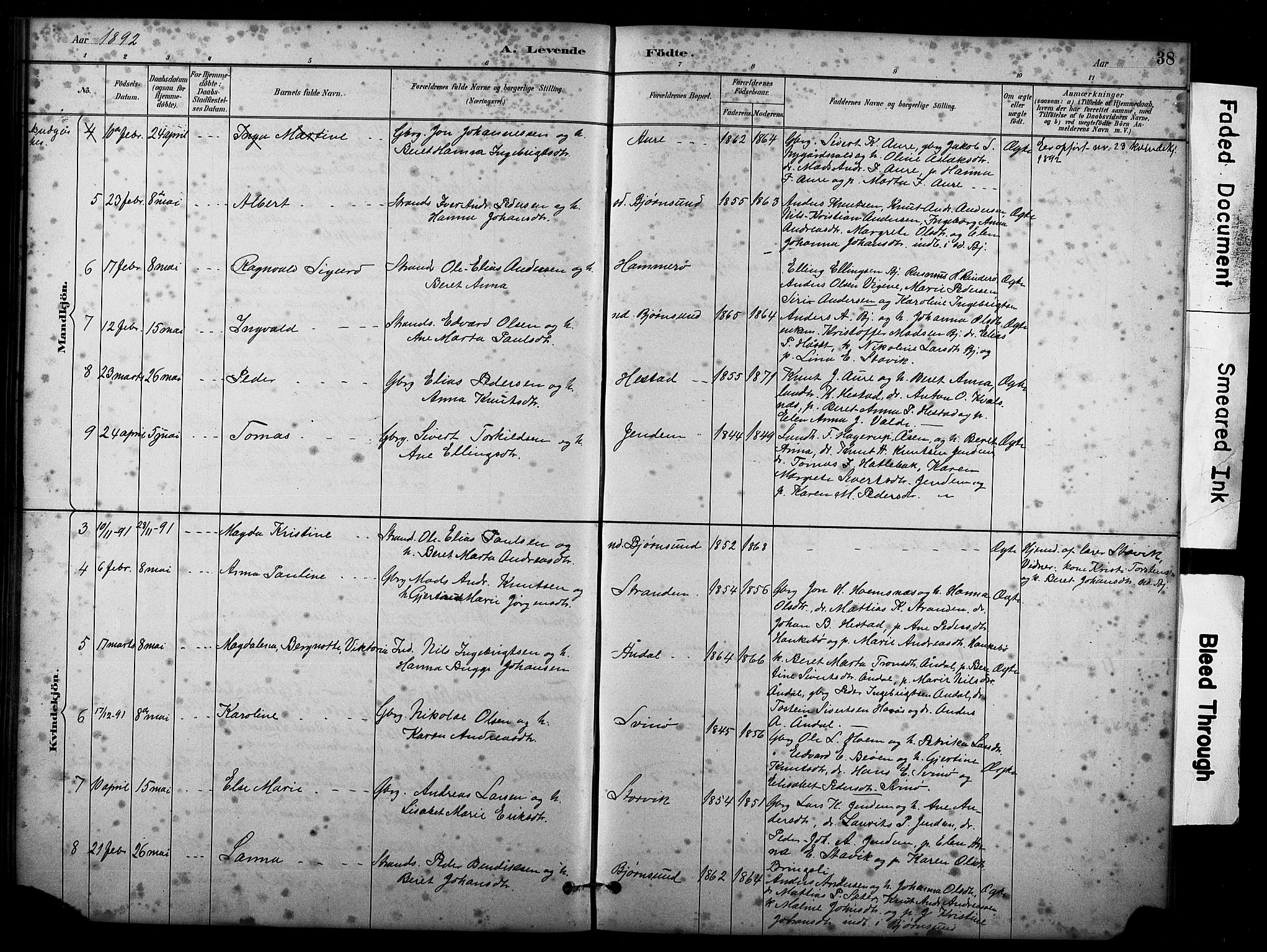 Ministerialprotokoller, klokkerbøker og fødselsregistre - Møre og Romsdal, AV/SAT-A-1454/565/L0755: Parish register (copy) no. 565C04, 1883-1903, p. 38